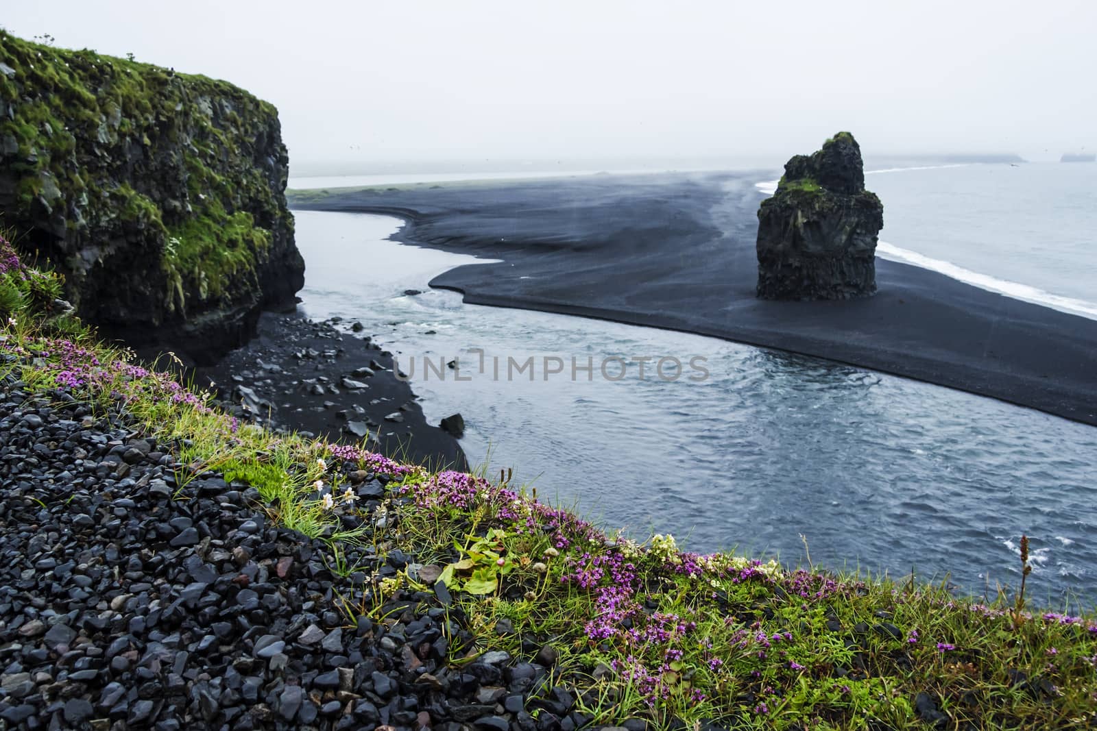 Black volcanic sand on the south coast of Iceland by Tetyana