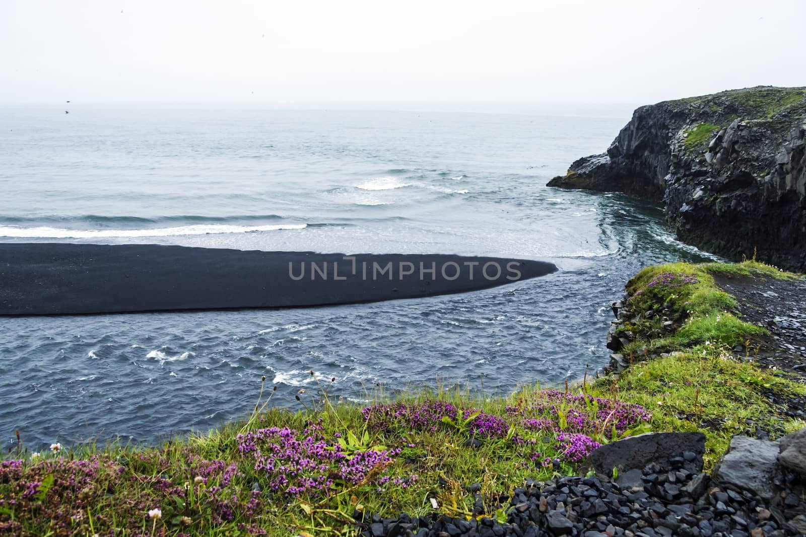 Black volcanic sand on the south coast of Iceland by Tetyana