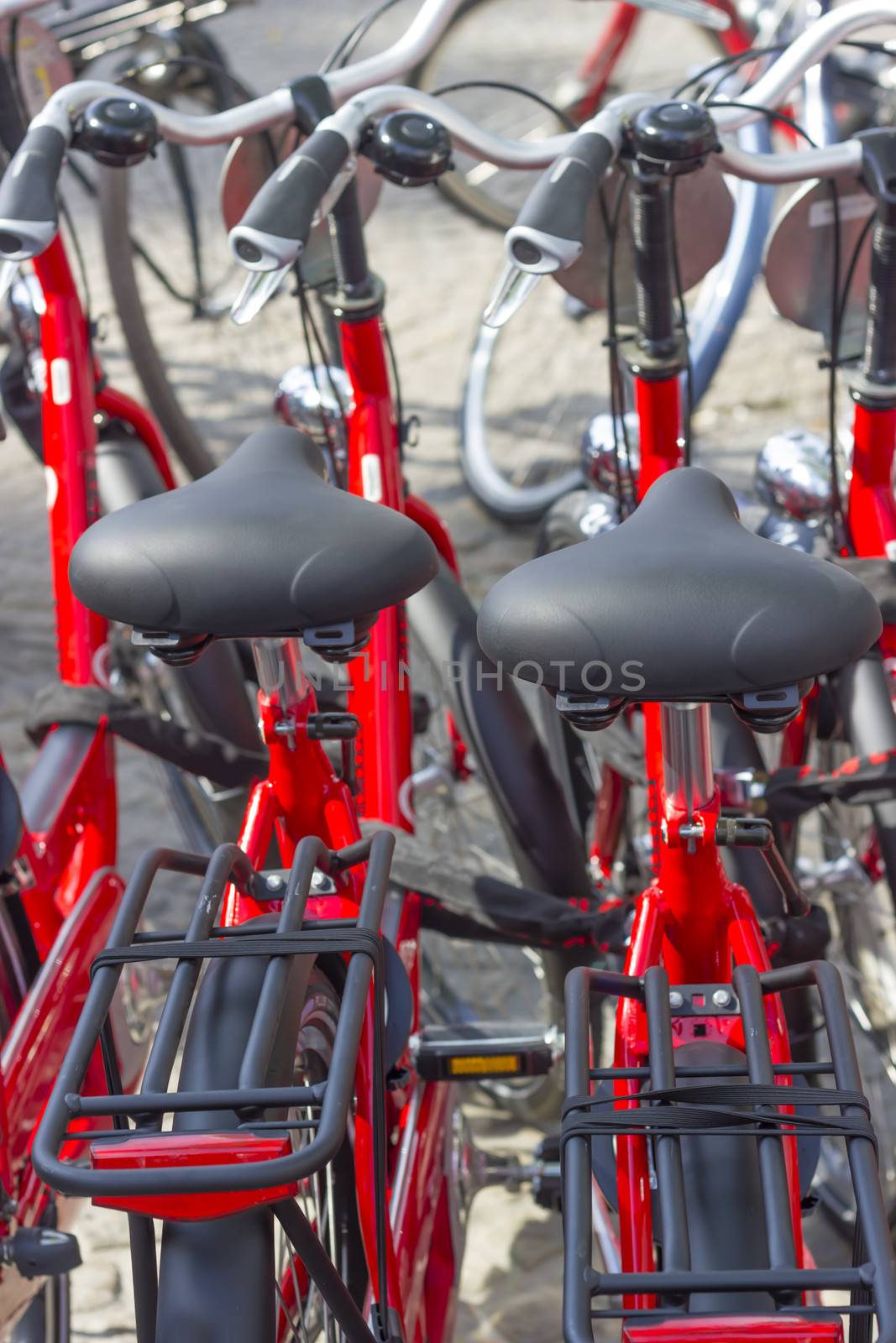 parking of the new red bicycles in Amsterdam, Europe by Tetyana