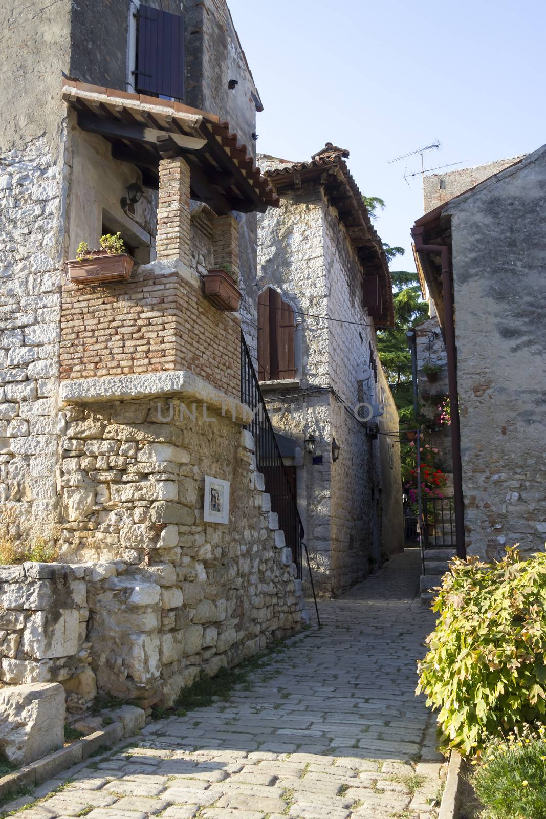 street in Porec, Croatia by Tetyana