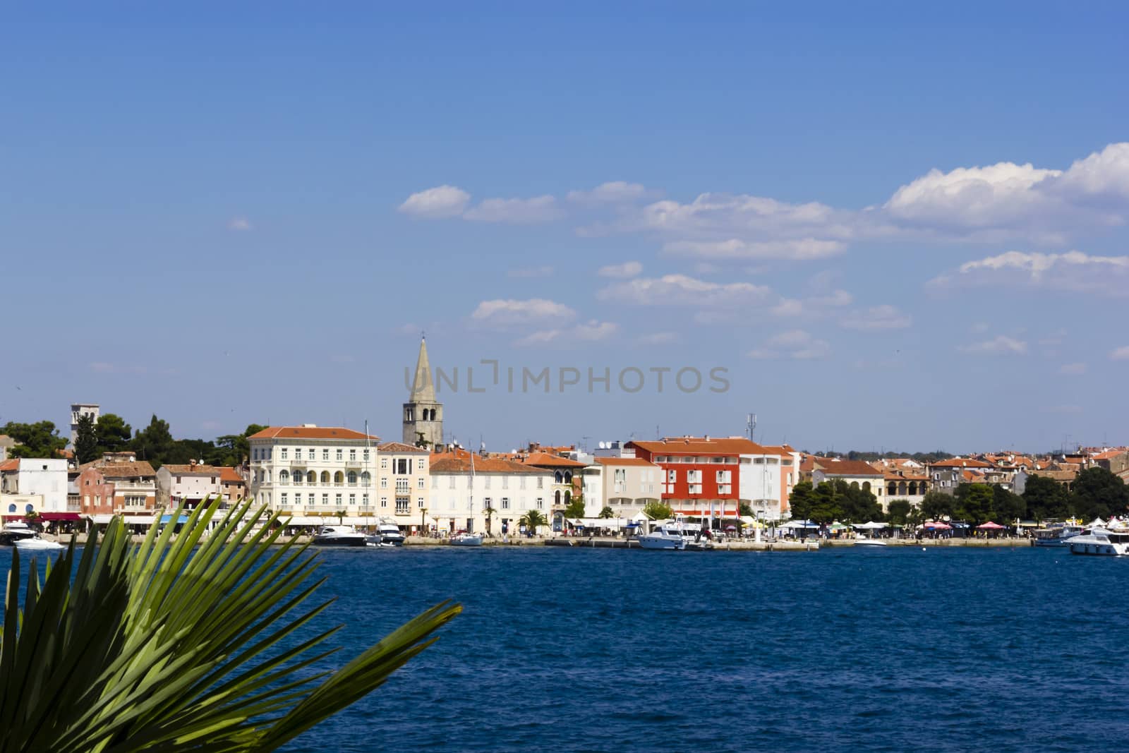 View of Porec from the island of St. Nicholas (Sveti Nikola) by Tetyana