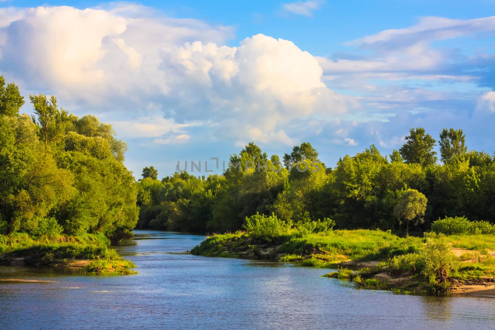 Summer Forest River With Reflection Of The Coast