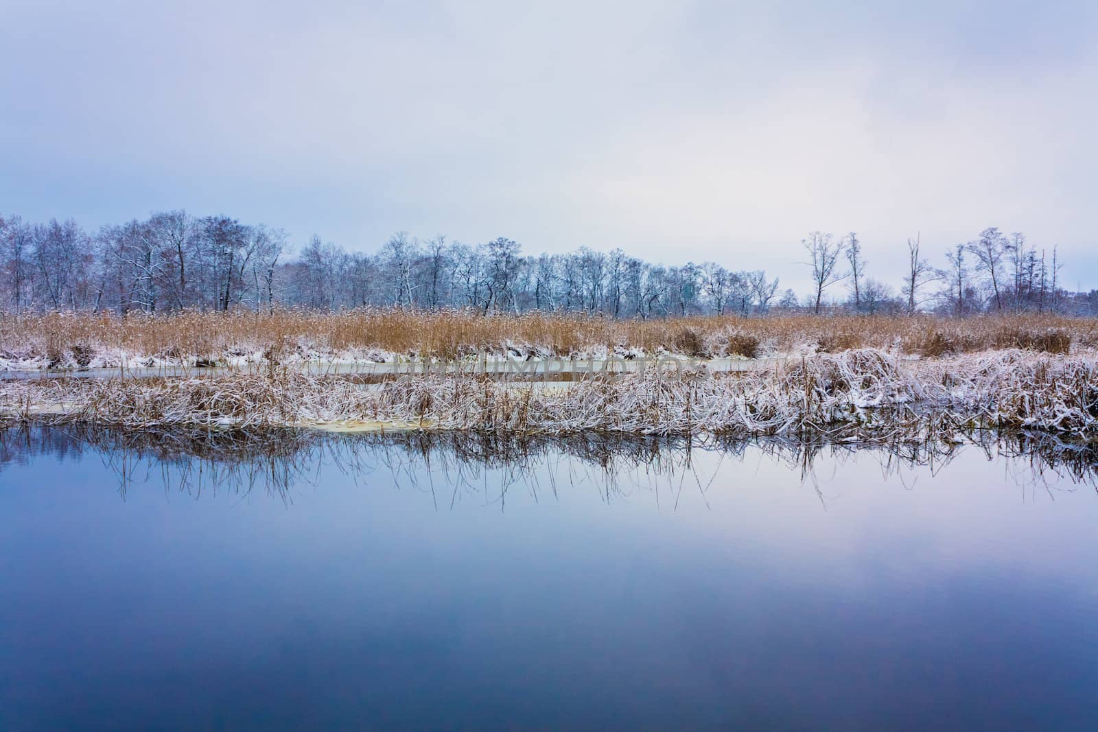 View On The Bog. Grass And Water. by ryhor