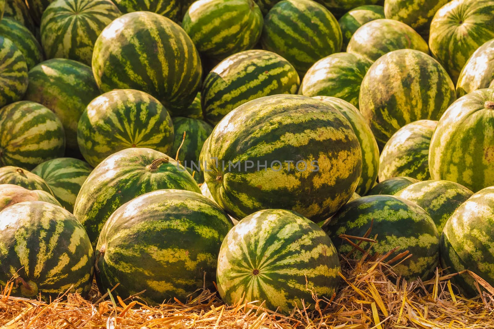 Watermelons were piled up by ryhor