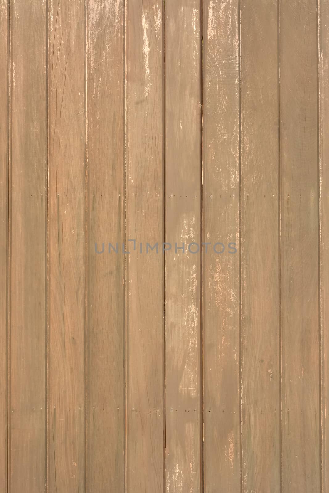 Wooden wall background in yellow or brown color.
