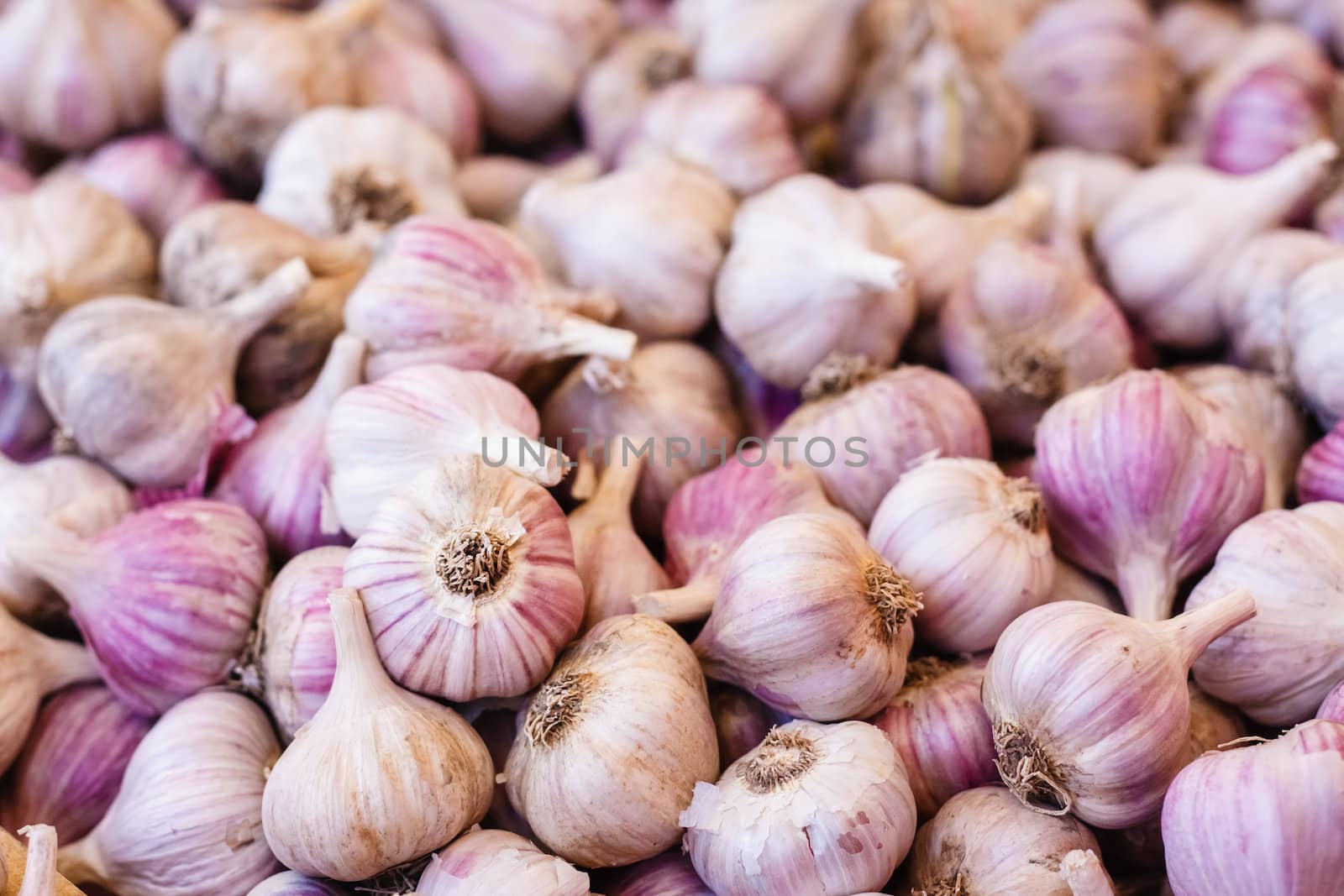 Garlic pile on the local market. White garlic crop. Background