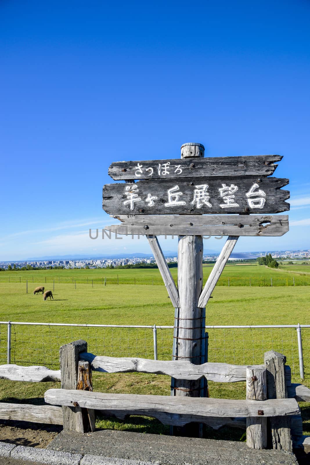 Sapporo Observation Hill in Japan1 by gjeerawut