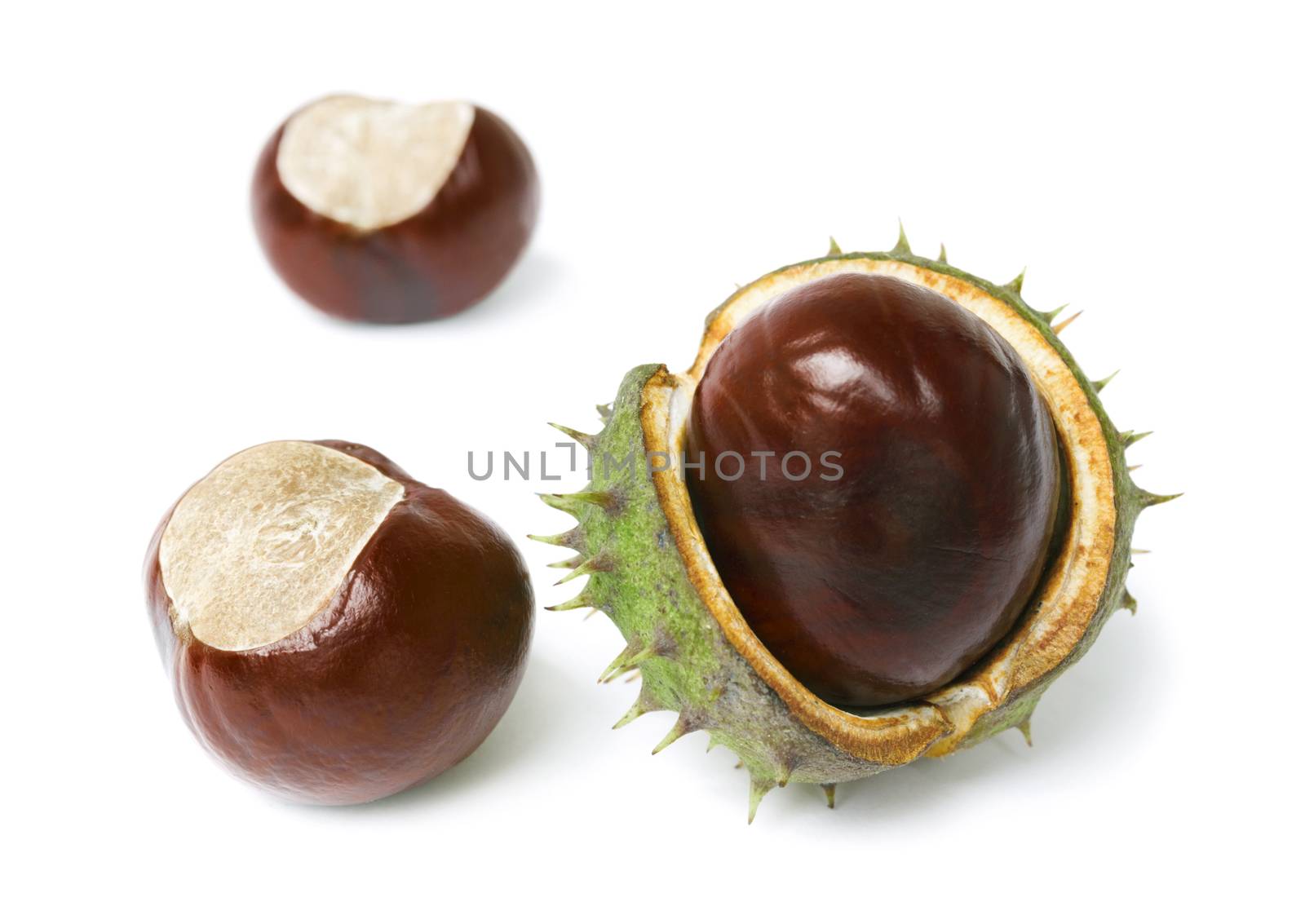 Three horse chestnut lie on a white background