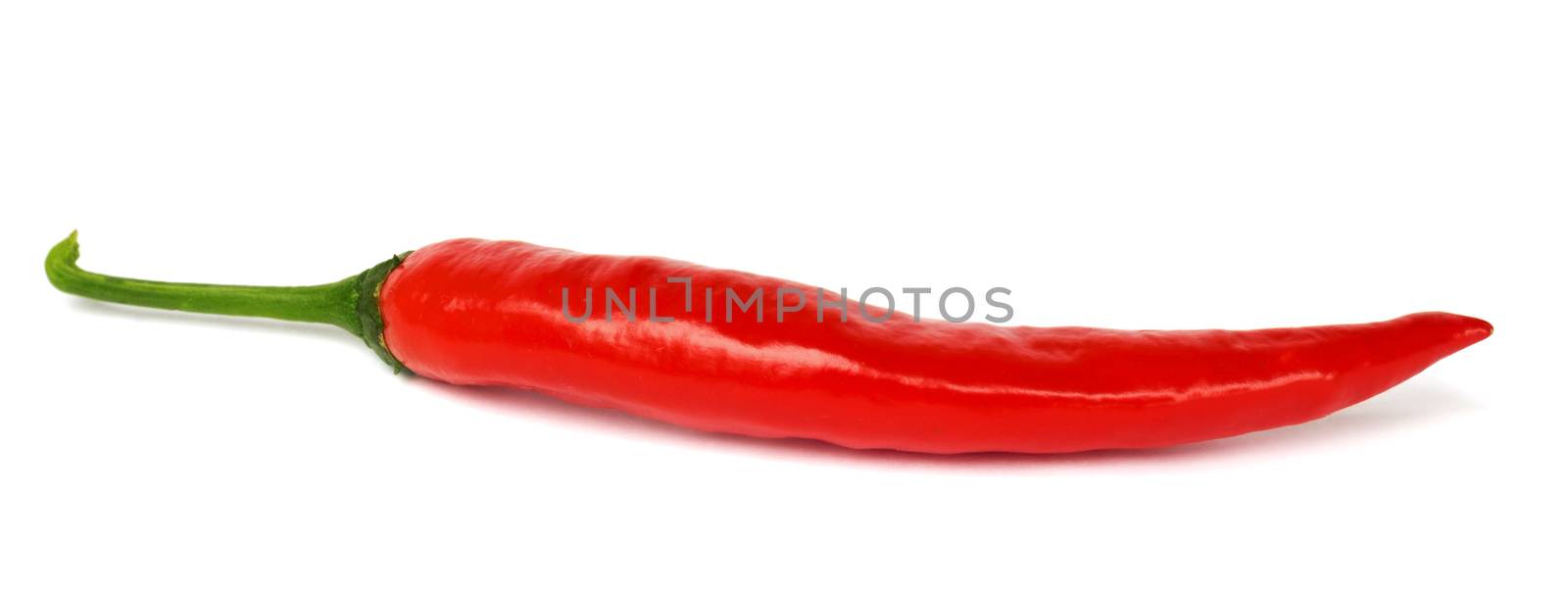 One pod of hot pepper on a white background