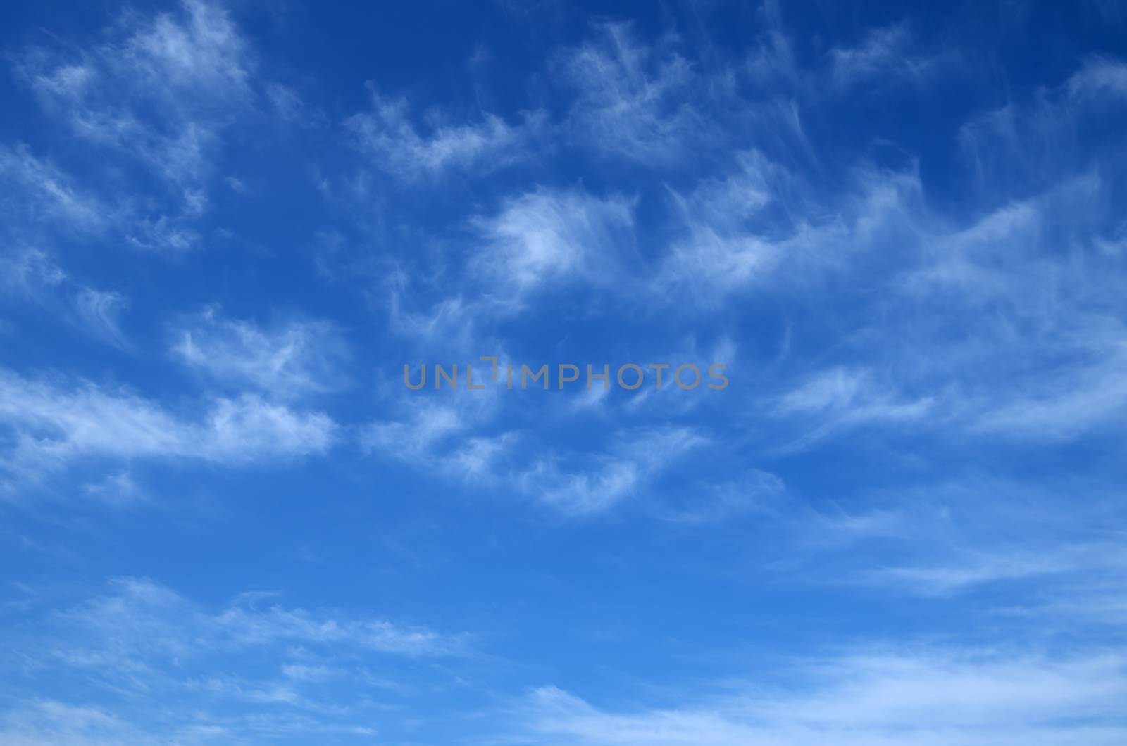 Photo of spring blue sky with beautiful cirrus clouds.