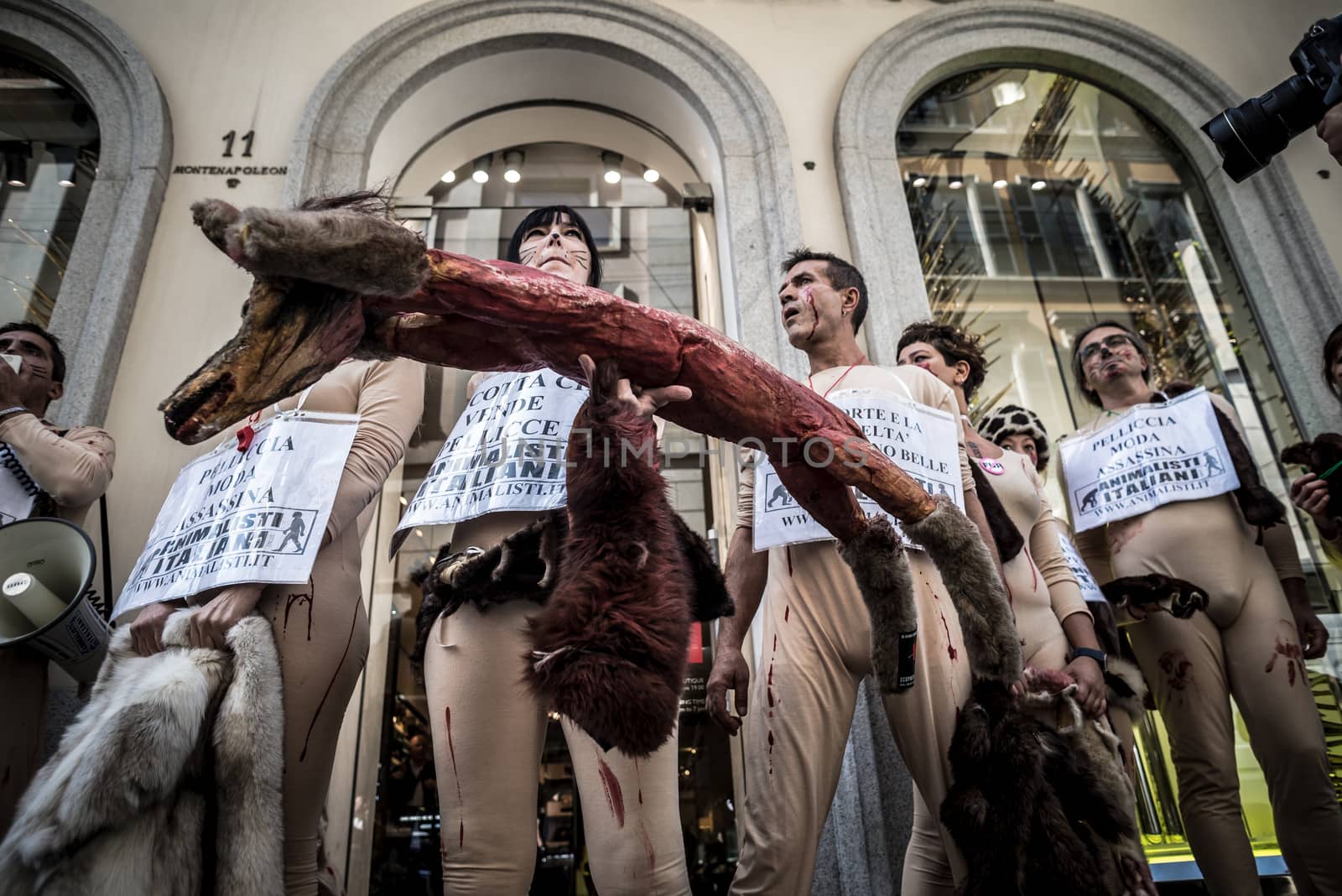 MILAN, ITALY - SEPTEMBER 17: Animalisti Italiani protest on September 17, 2013. Animal right association 'Animalisti Italiani' protest against furs and fashion, in famous fashion Milan street Monte Napoleone