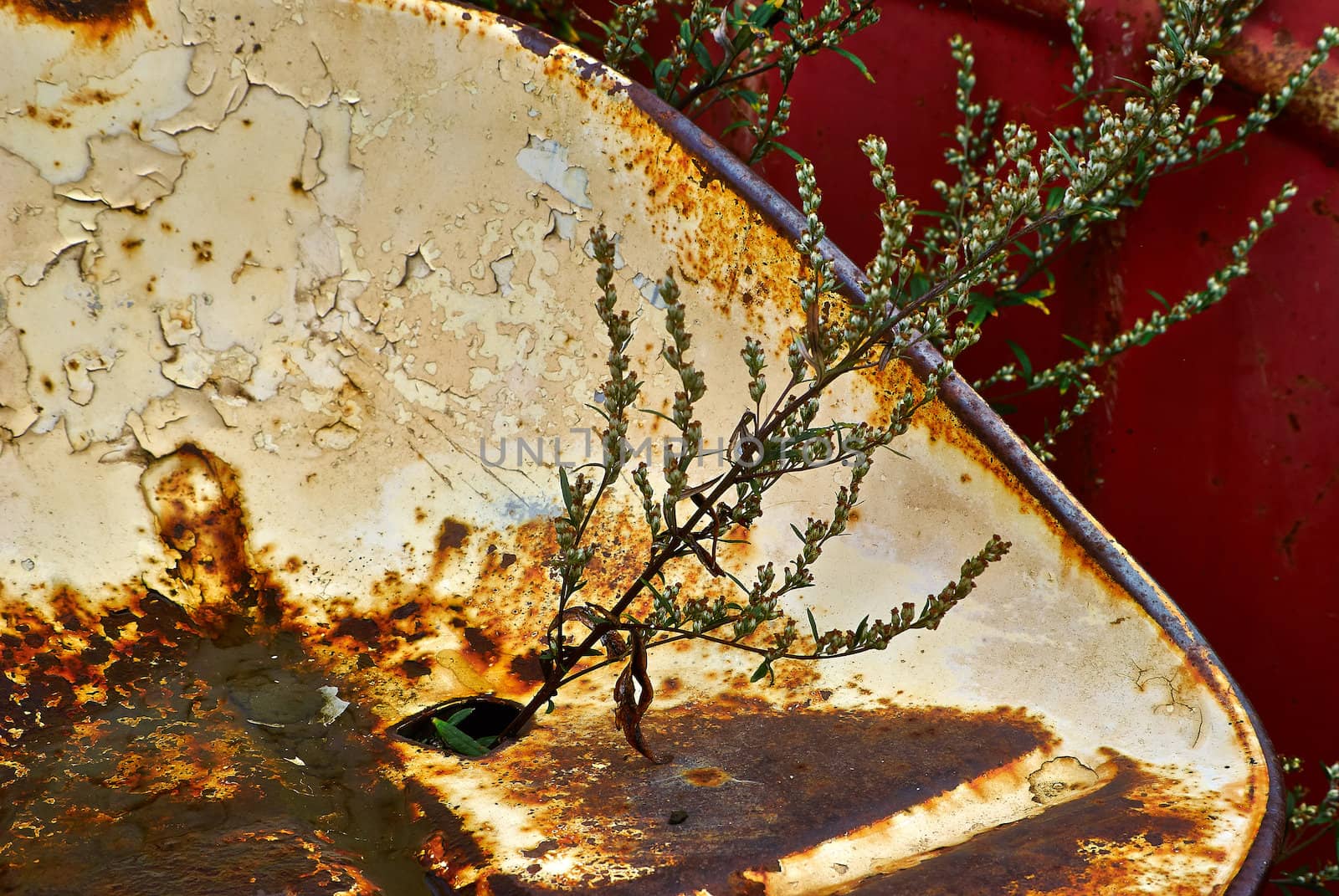 Close details of an old abandoned rusty tractor in a farm