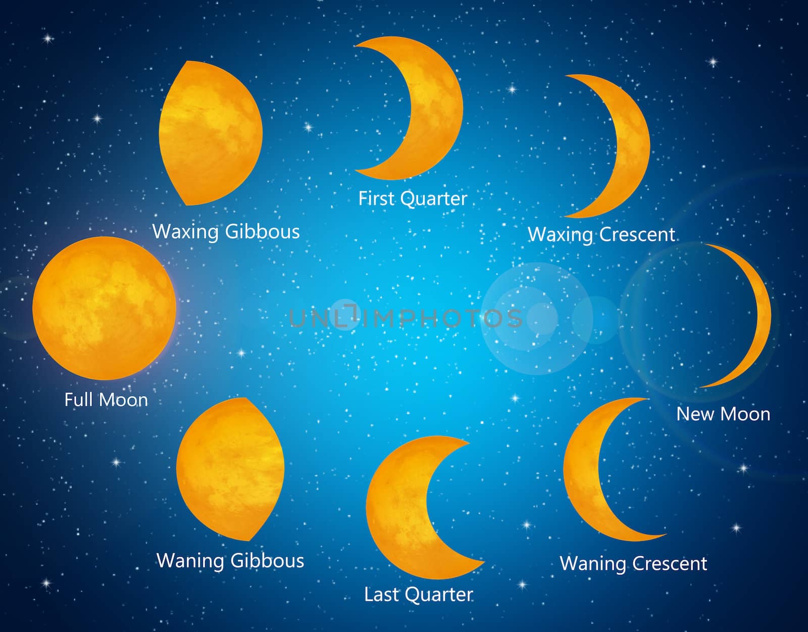 illustration of moon phases