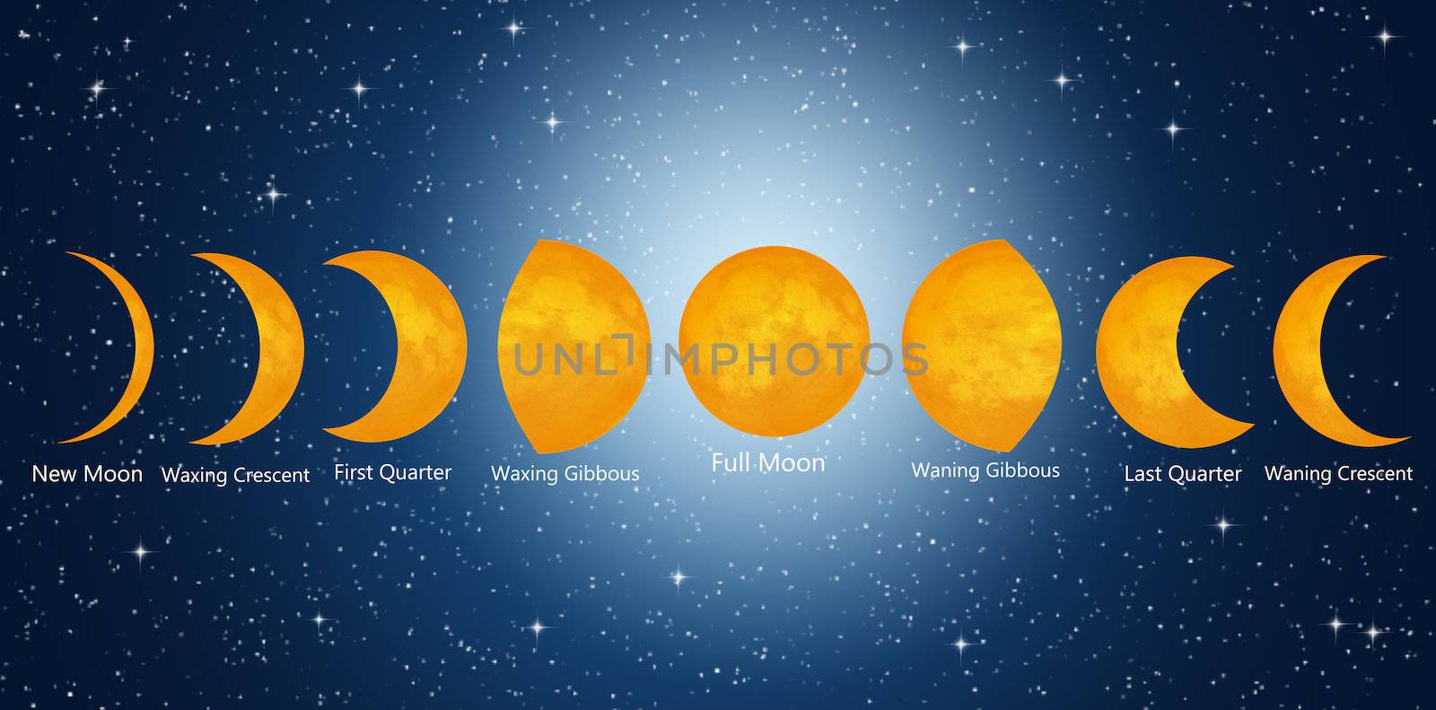 illustration of moon phases