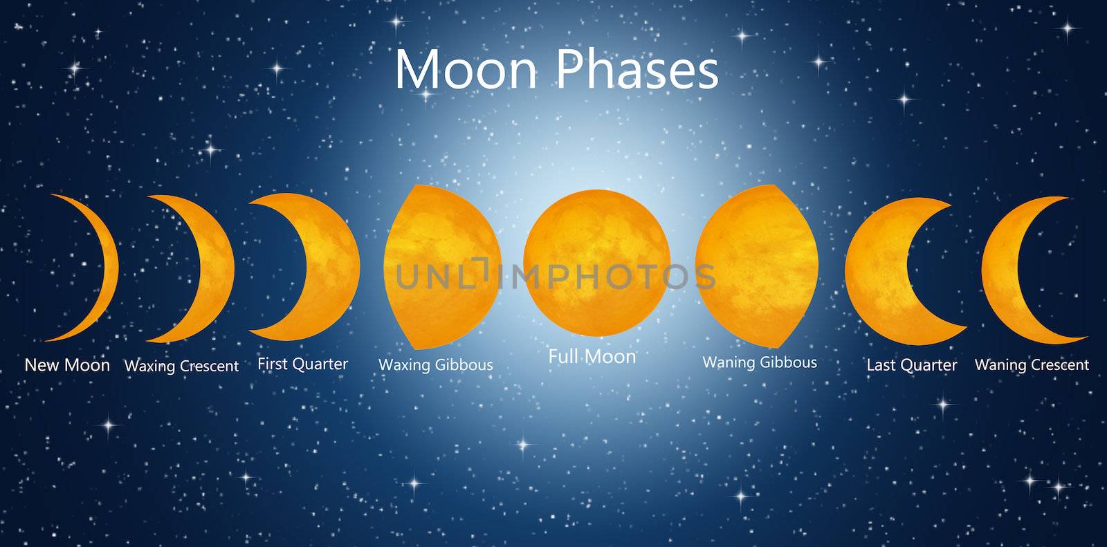 illustration of moon phases