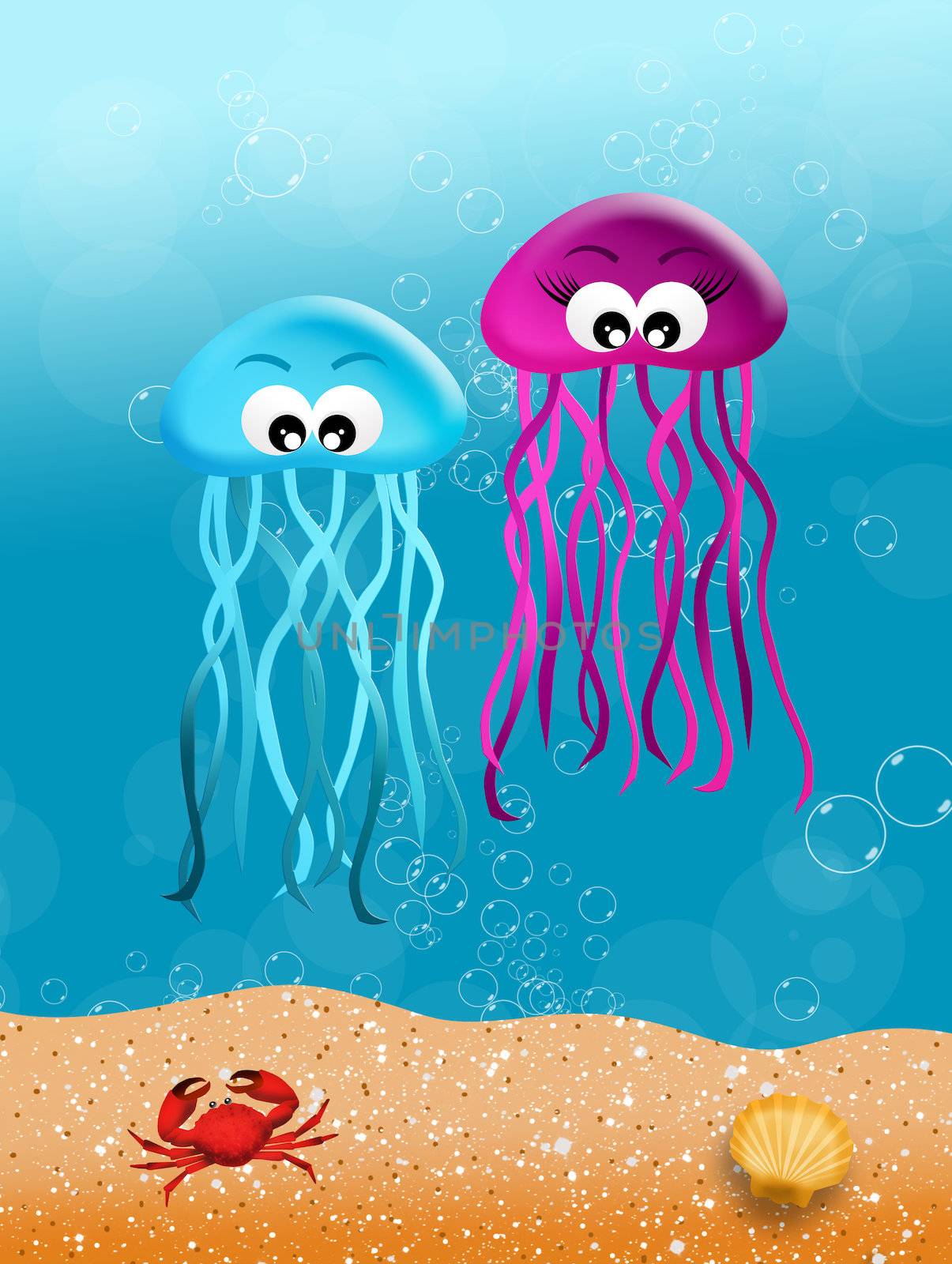 Jellyfishes in love