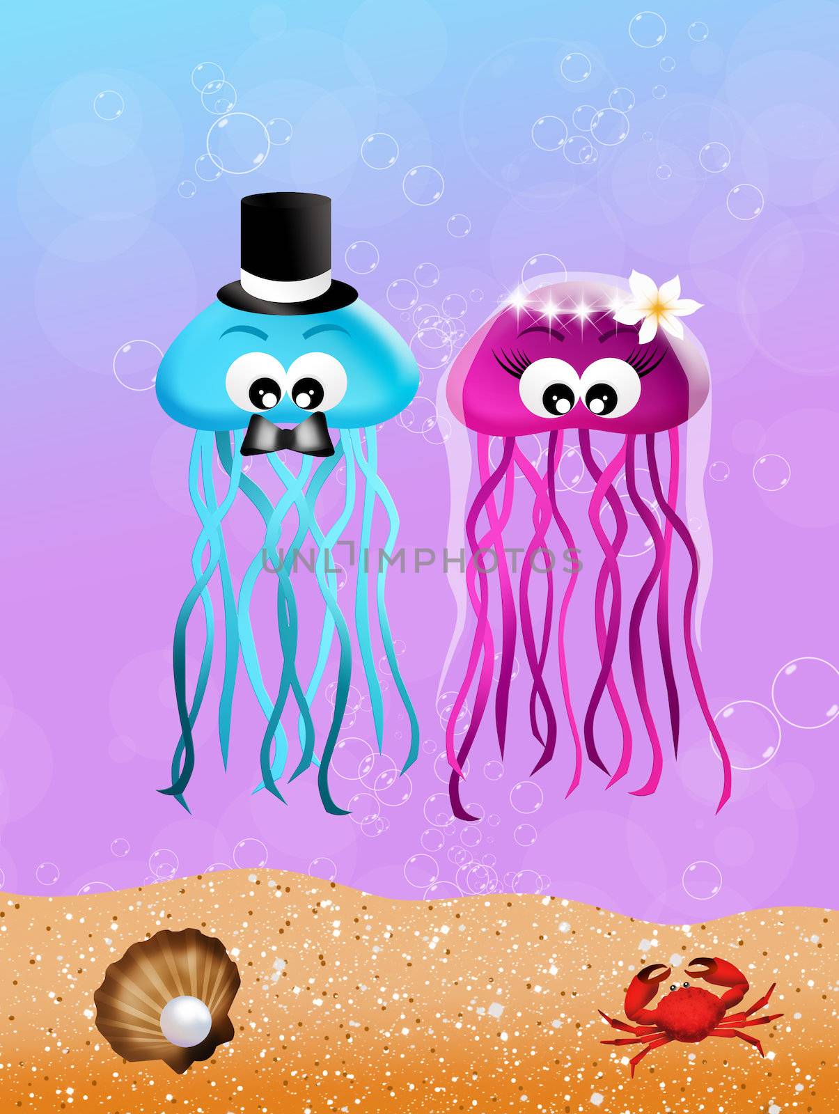 Jellyfishes in love