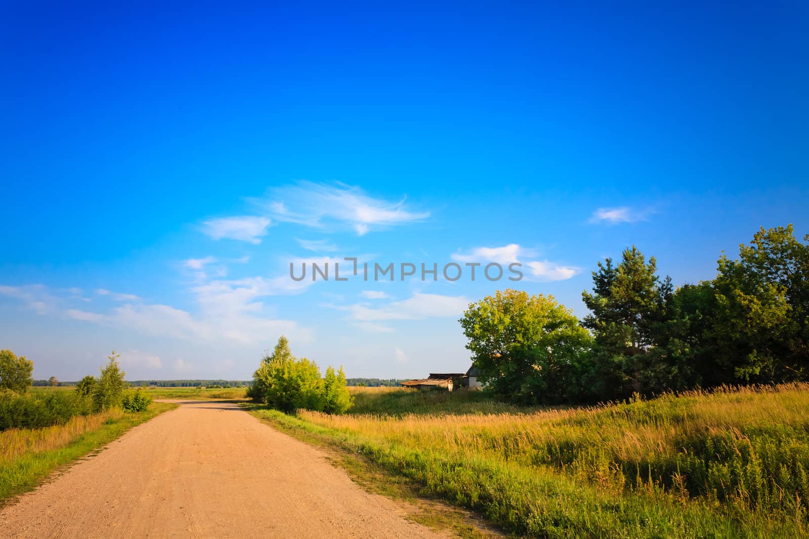 Dirty Rural Road In Countryside