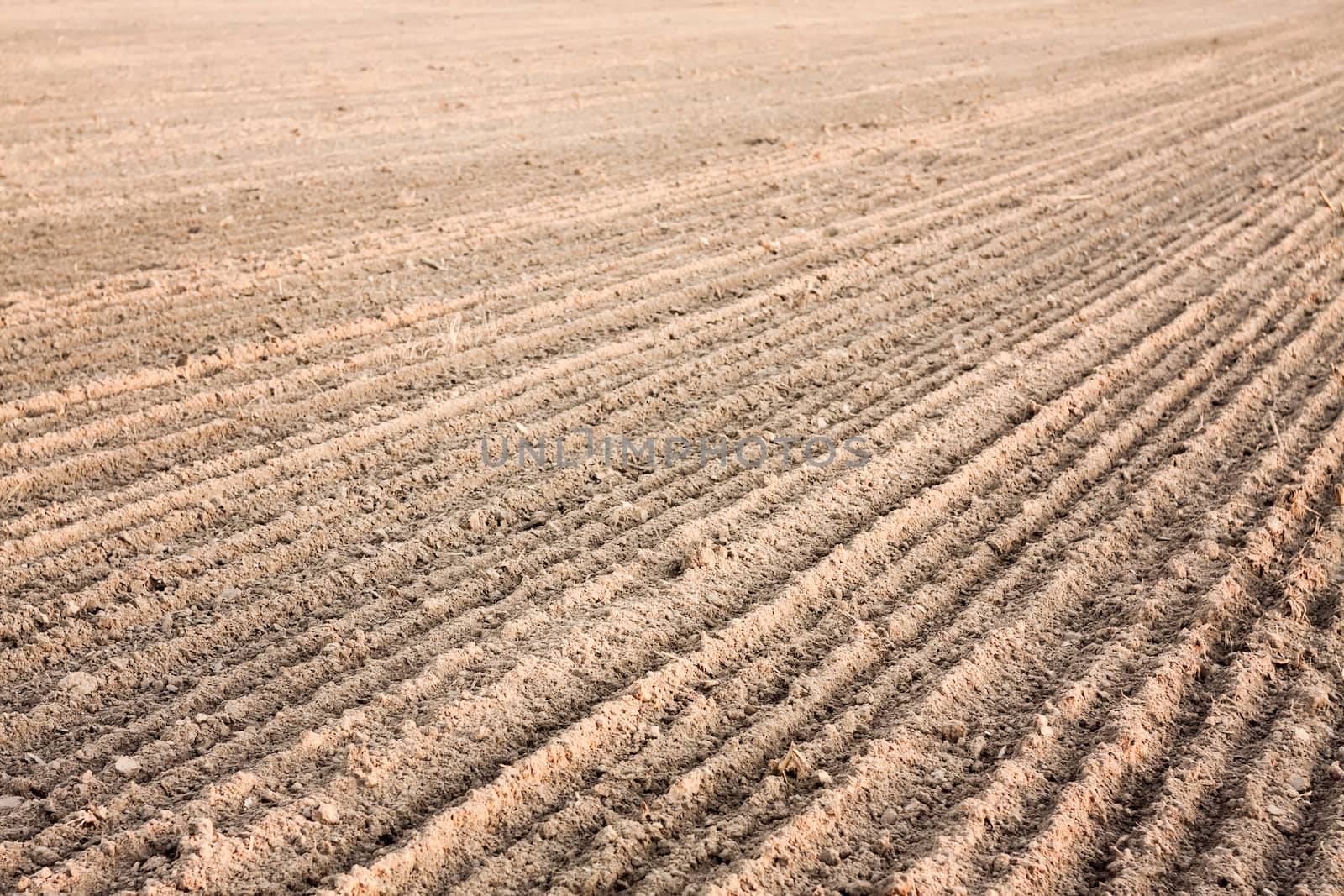 Furrows in a field after plowing it.  by ryhor