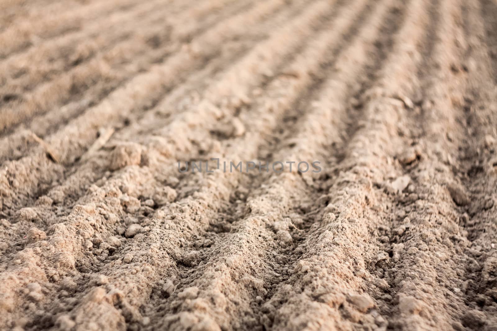 Background of newly plowed field ready for new crops. Ploughed field in autumn. Close focus farm, agricultural background