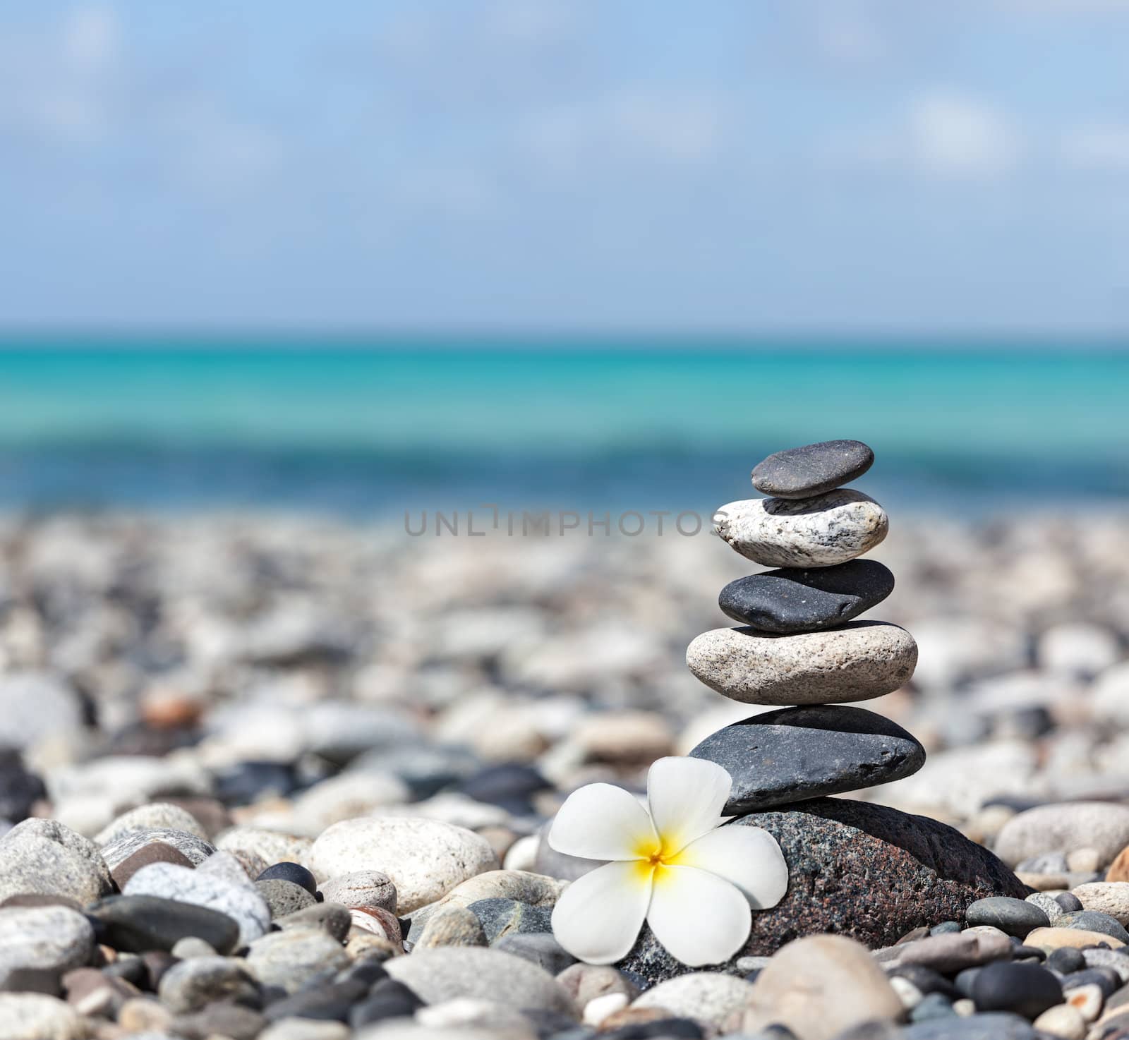 Zen meditation spa relaxation background -  balanced stones stack with frangipani plumeria flower close up on sea beach