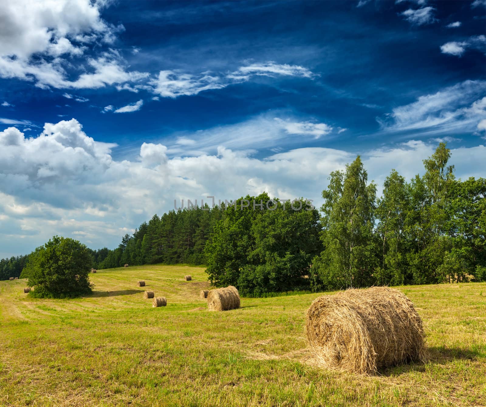 Hay bales on field by dimol