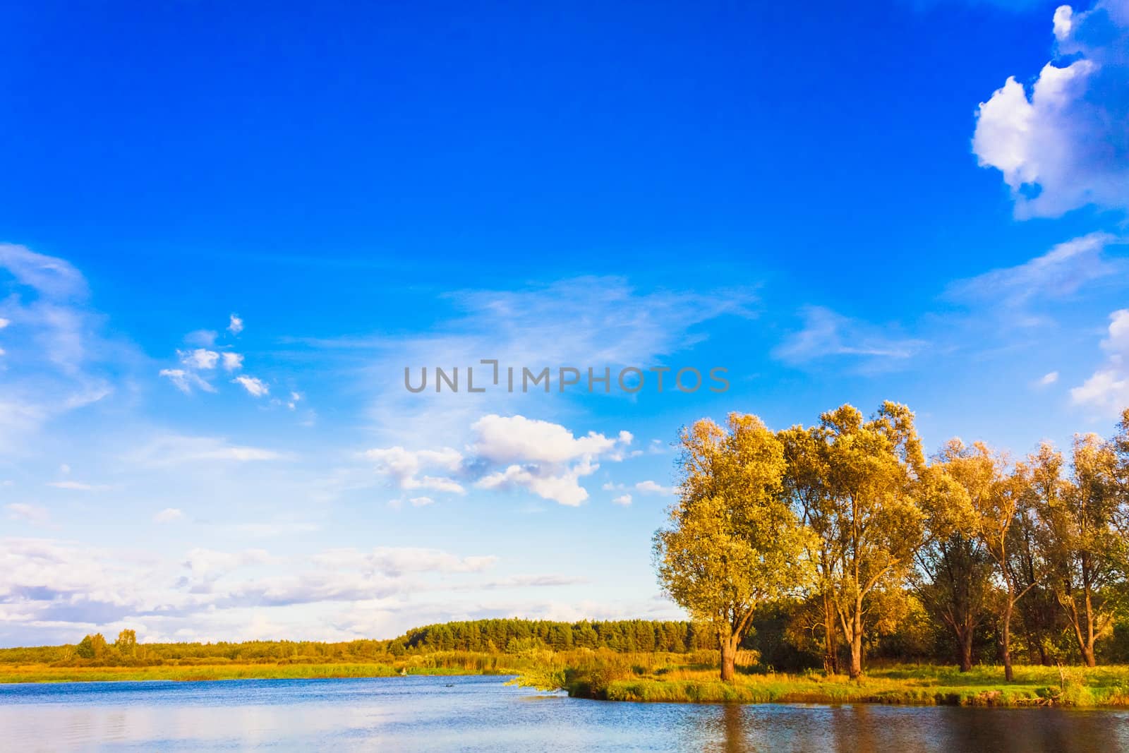 Autumn Forest River Lake Landscape. Sunny Day, Blue Sky
