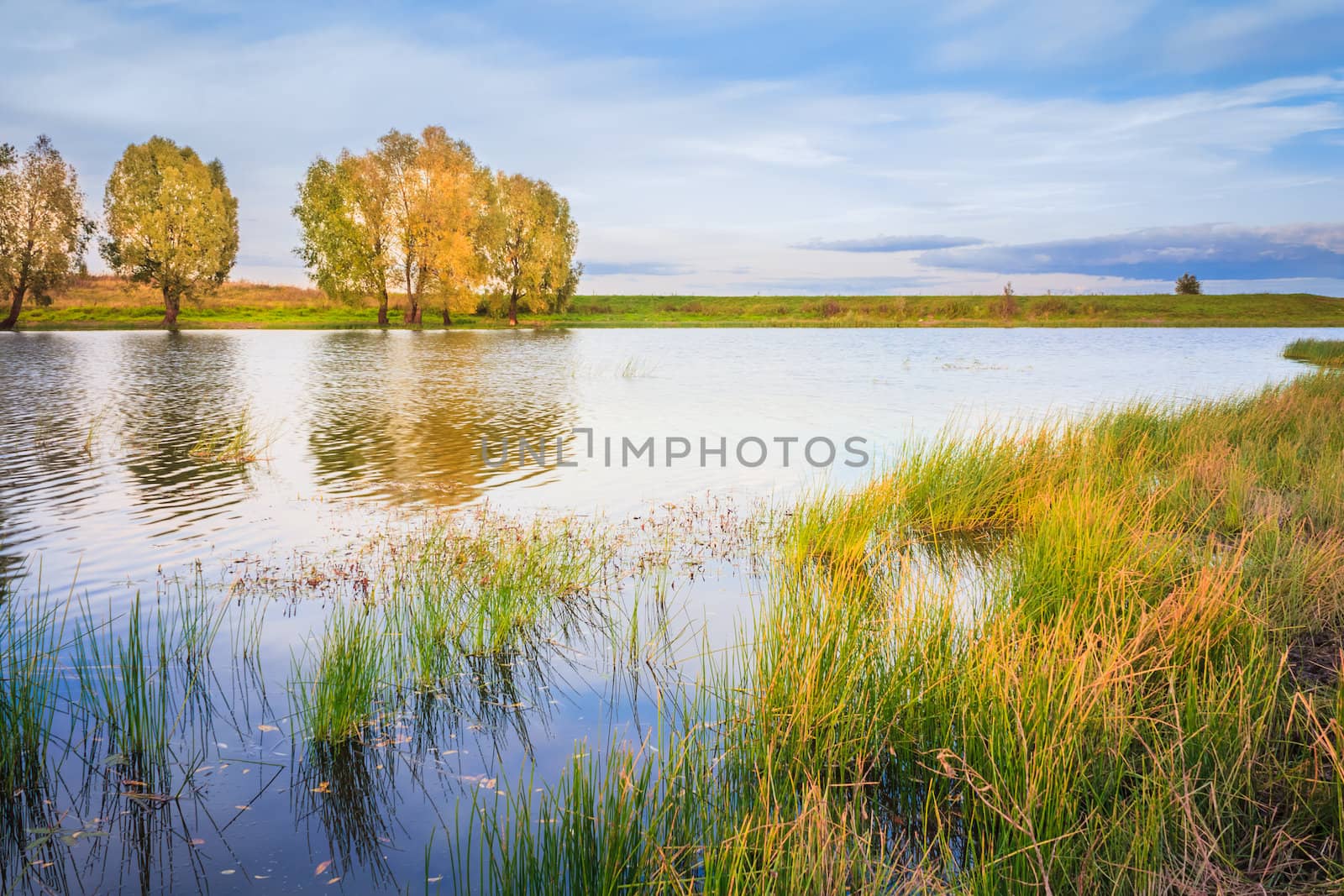 Landscape With River And Blue Sky by ryhor