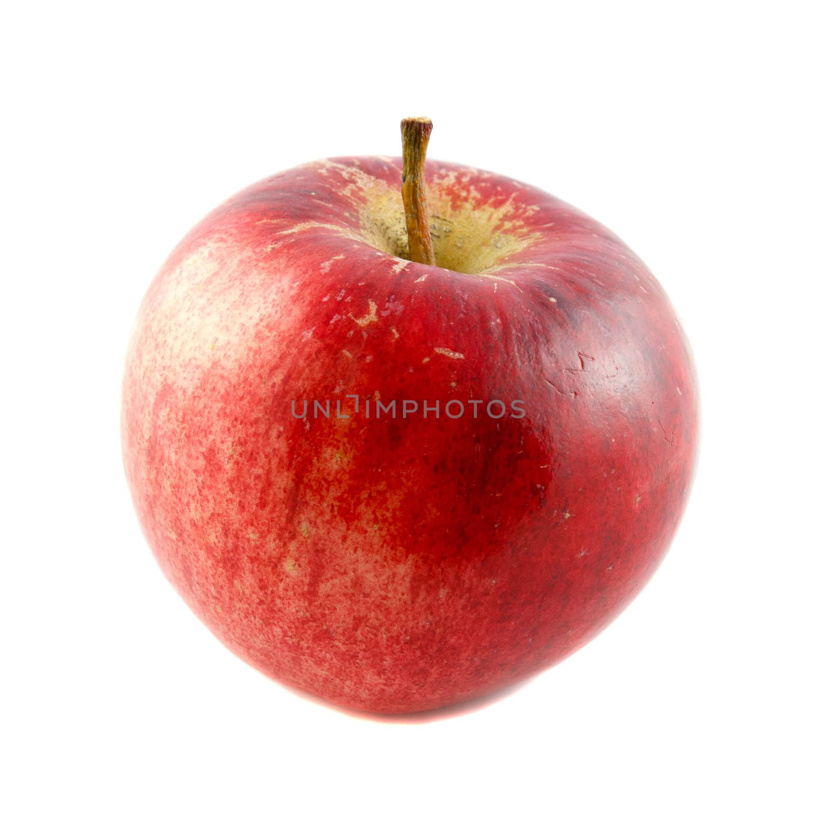 ecologically clean natural red apple on a white background
