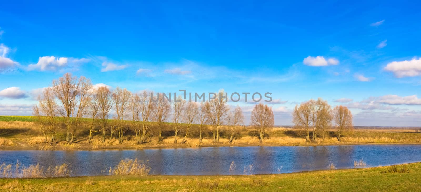 Autumn Landscape Of River And Trees And Bushes