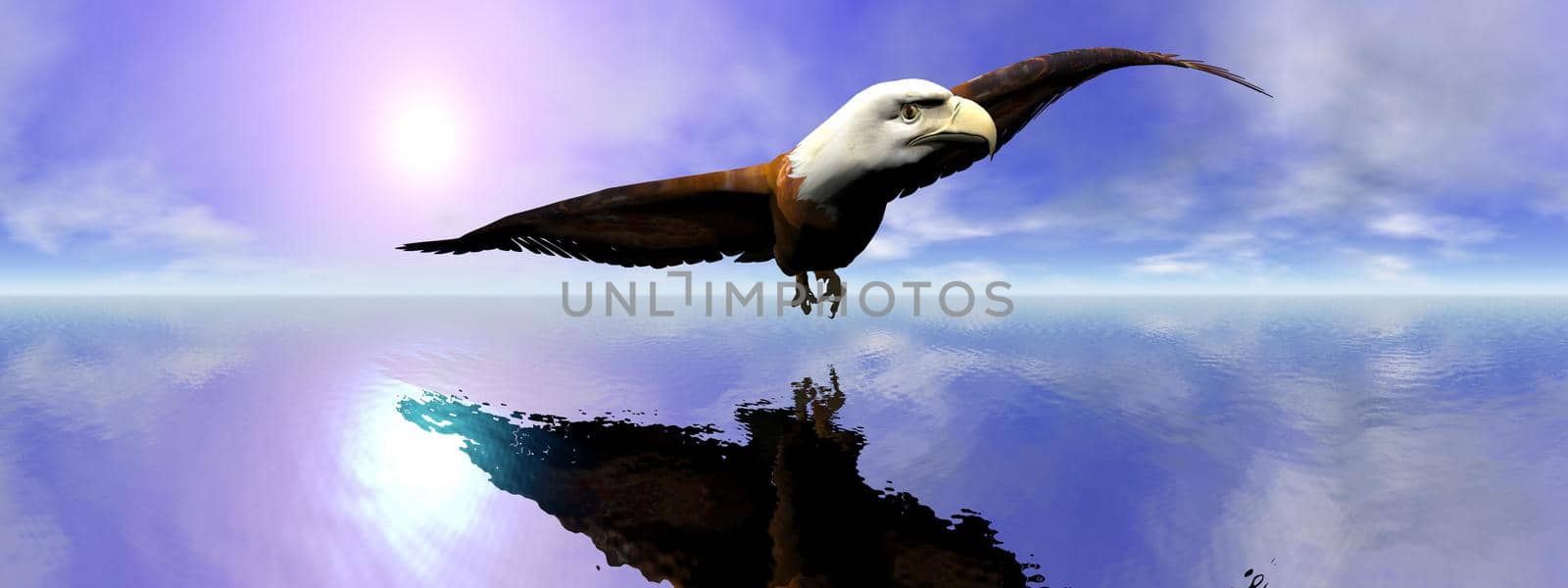 Beautiful american bald eagle flying upon ocean by sunset, 360 degrees effect