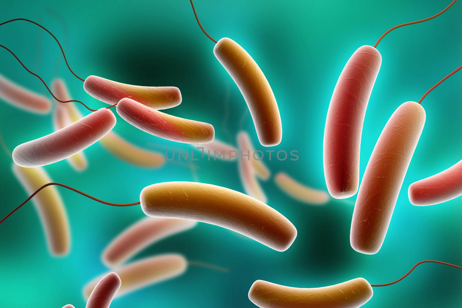 Coli bacteria by abhi3747