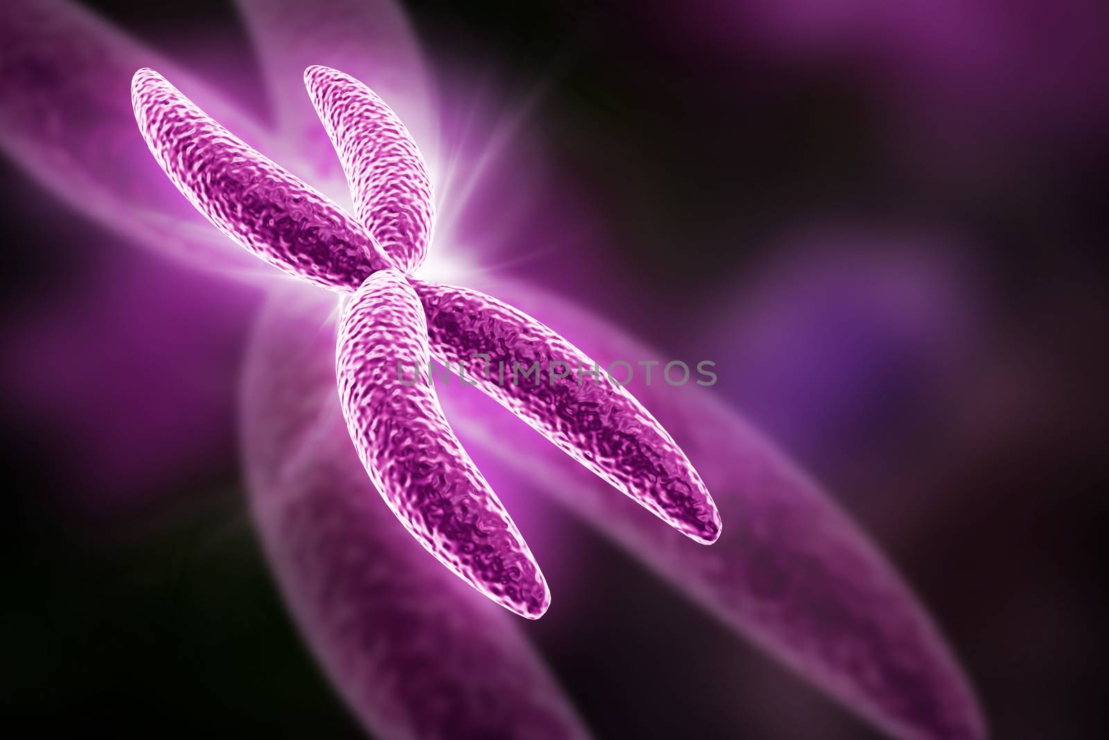 chromosome in digital background