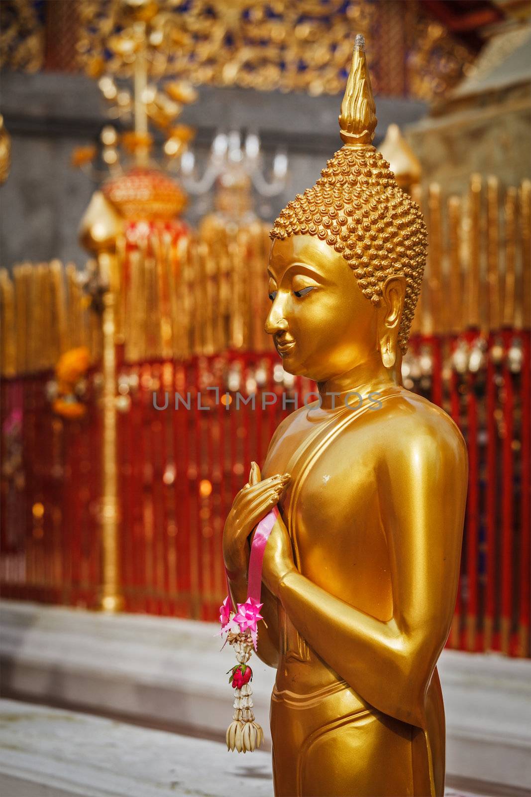 Standing Buddha statue in Wat Phra That Doi Suthep, Chiang Mai, Thailand