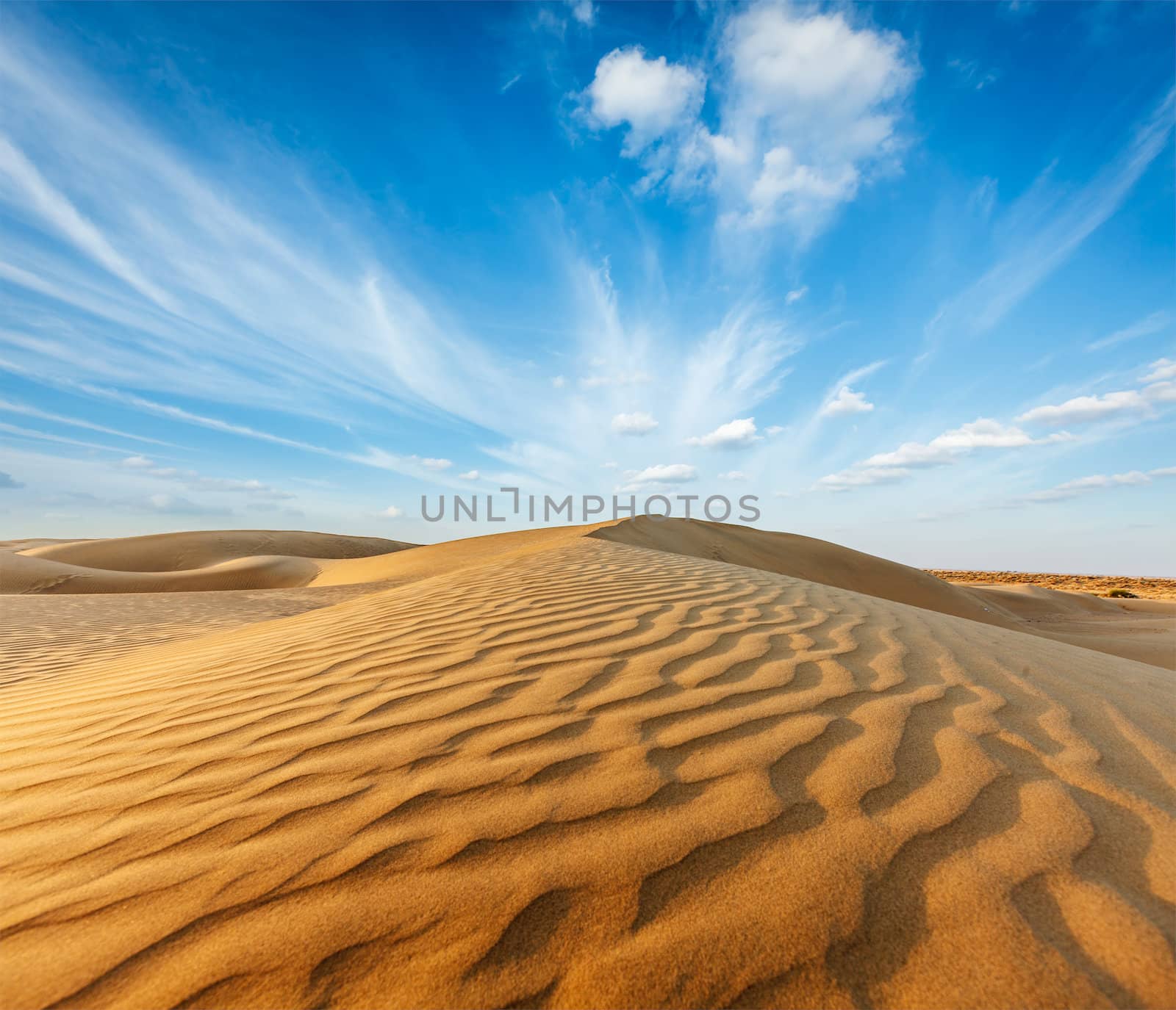 Dunes of Thar Desert. Sam Sand dunes, Rajasthan, India