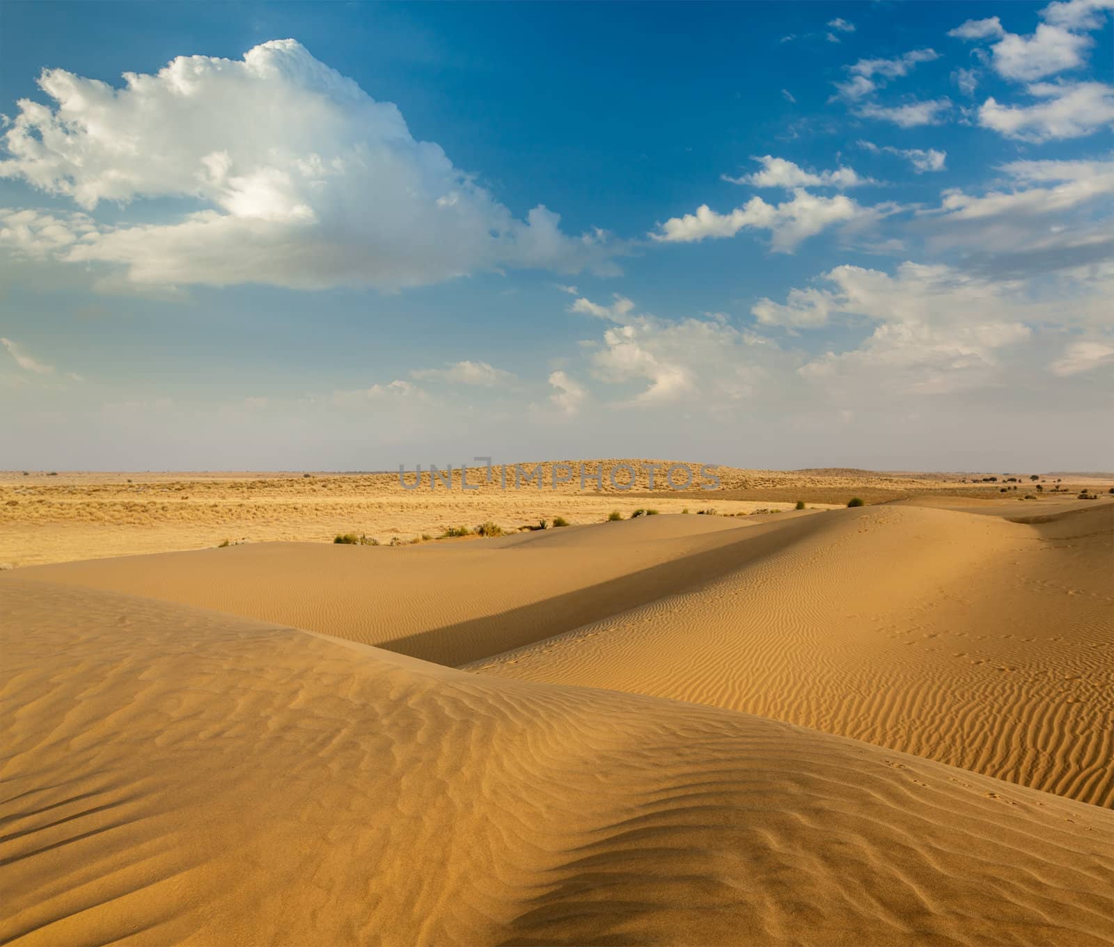 Dunes of Thar Desert, Rajasthan, India by dimol