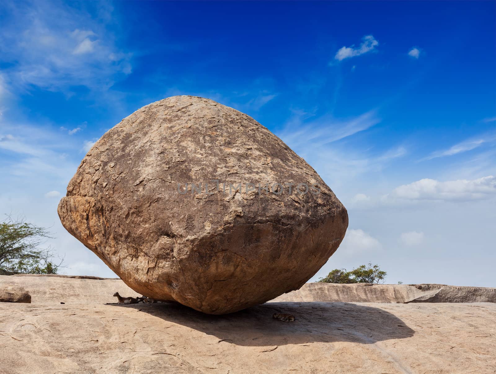 Krishna's butterball -  balancing giant natural rock stone. Mahabalipuram, Tamil Nadu, India