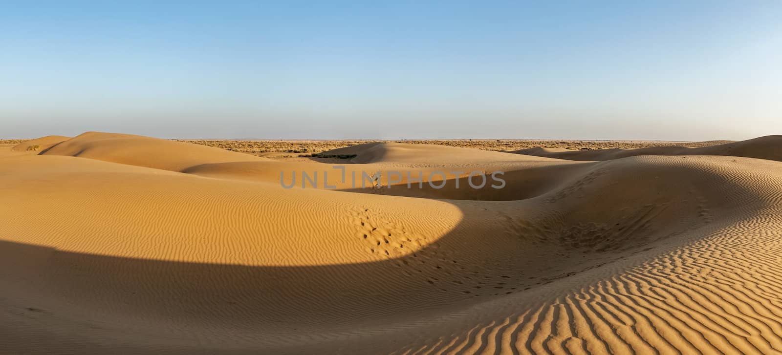 Panorama of dunes in Thar Desert, Rajasthan, India by dimol