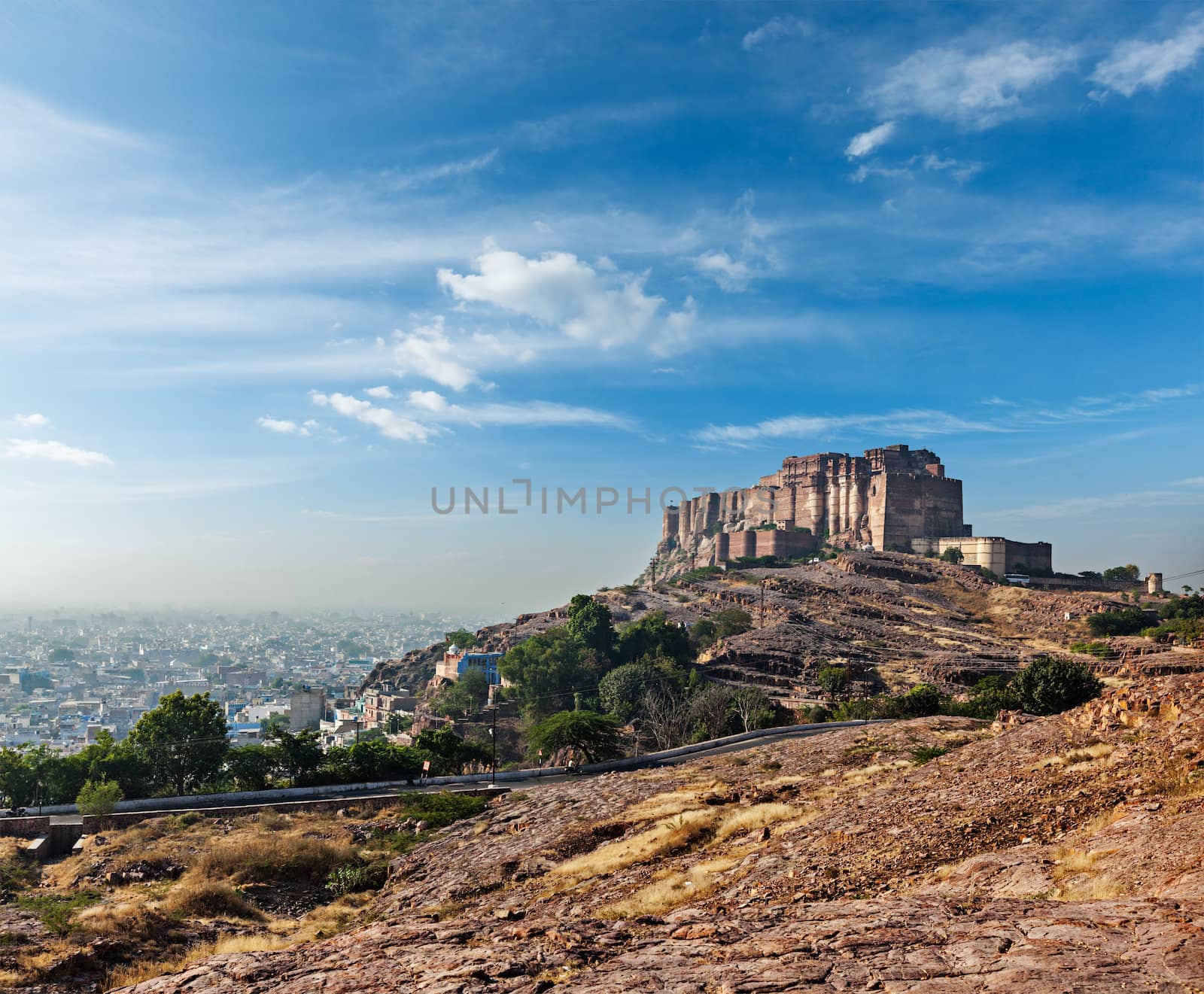 Mehrangarh Fort, Jodhpur, Rajasthan, India by dimol