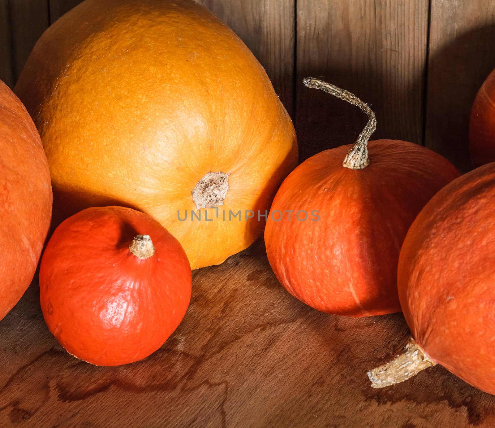 Pumpkins on grunge wooden backdrop, background table. Autumn, halloween, pumpkin