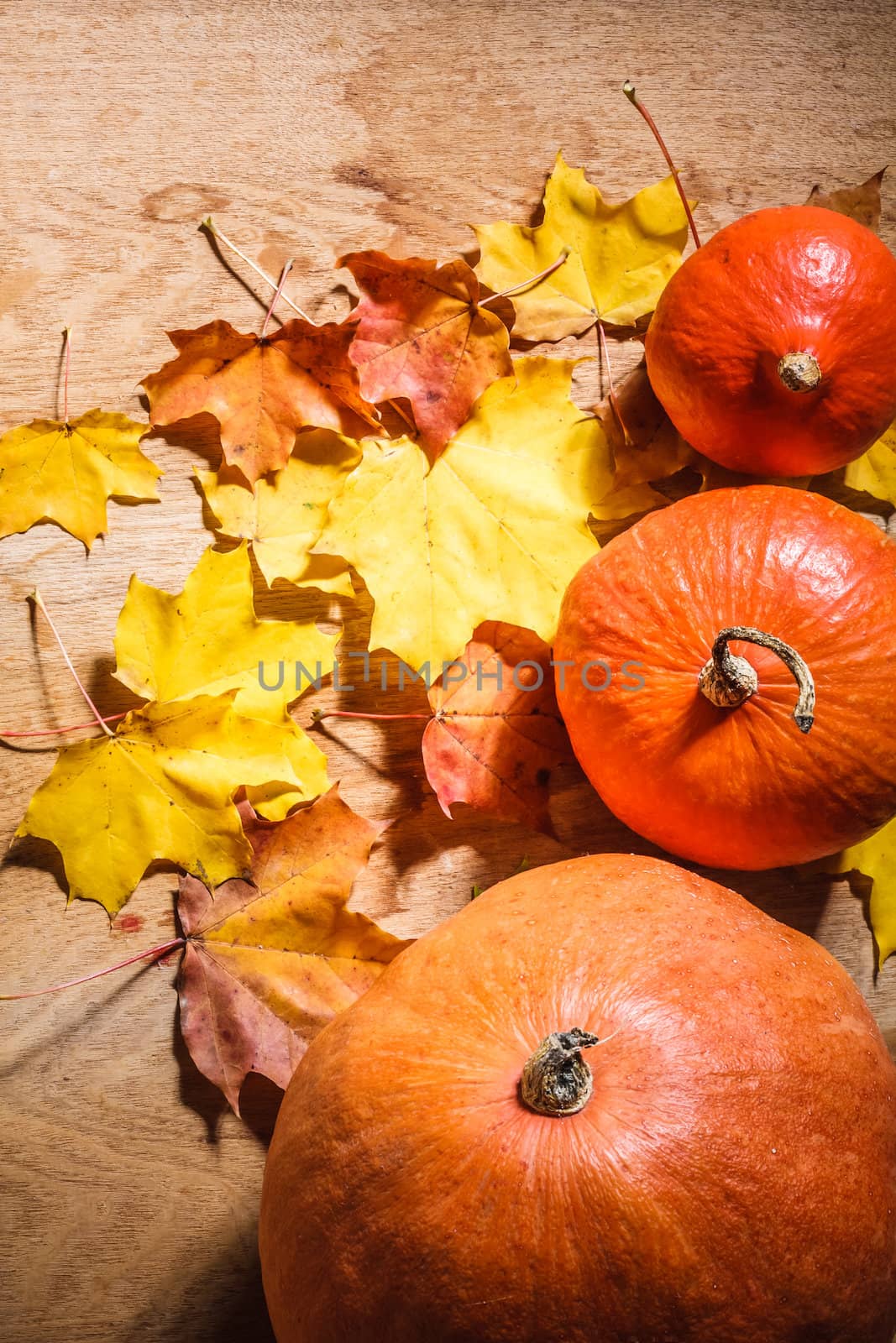 Autumn background with colored leaves and pumpkin on wooden board. Pumpkins on grunge wooden backdrop, background table. Autumn, halloween, pumpkin