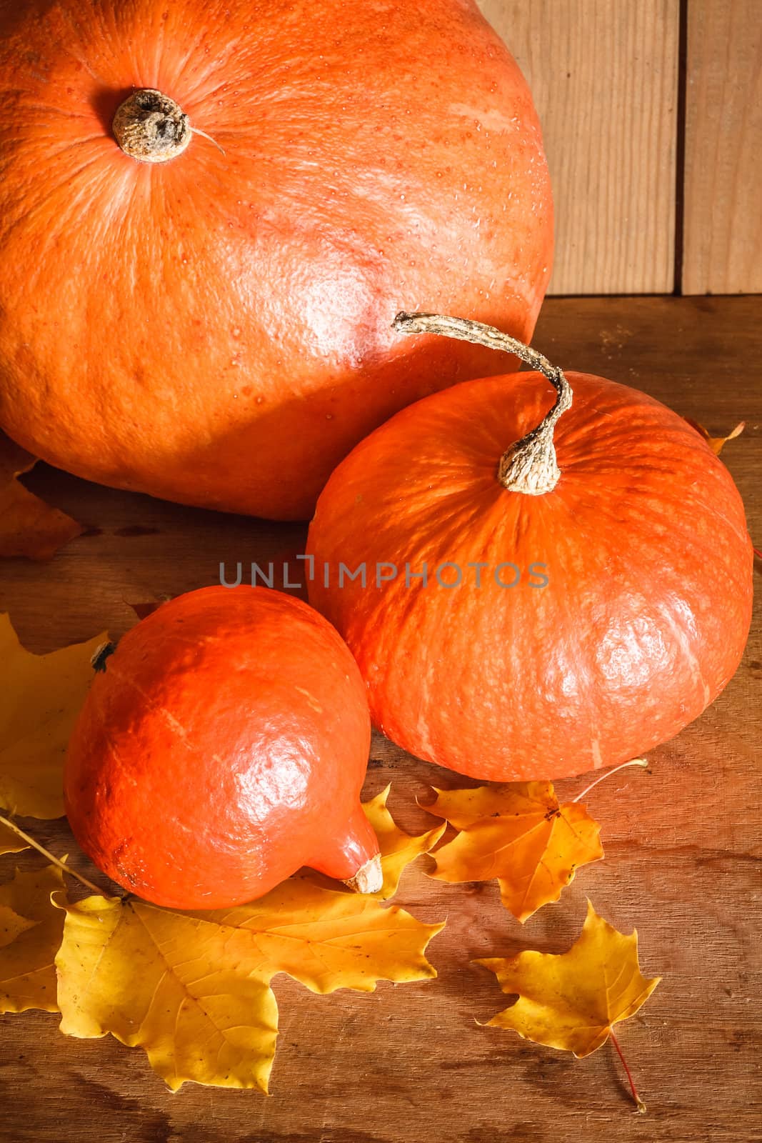 Autumn background with colored leaves and pumpkin on wooden board. Pumpkins on grunge wooden backdrop, background table. Autumn, halloween, pumpkin