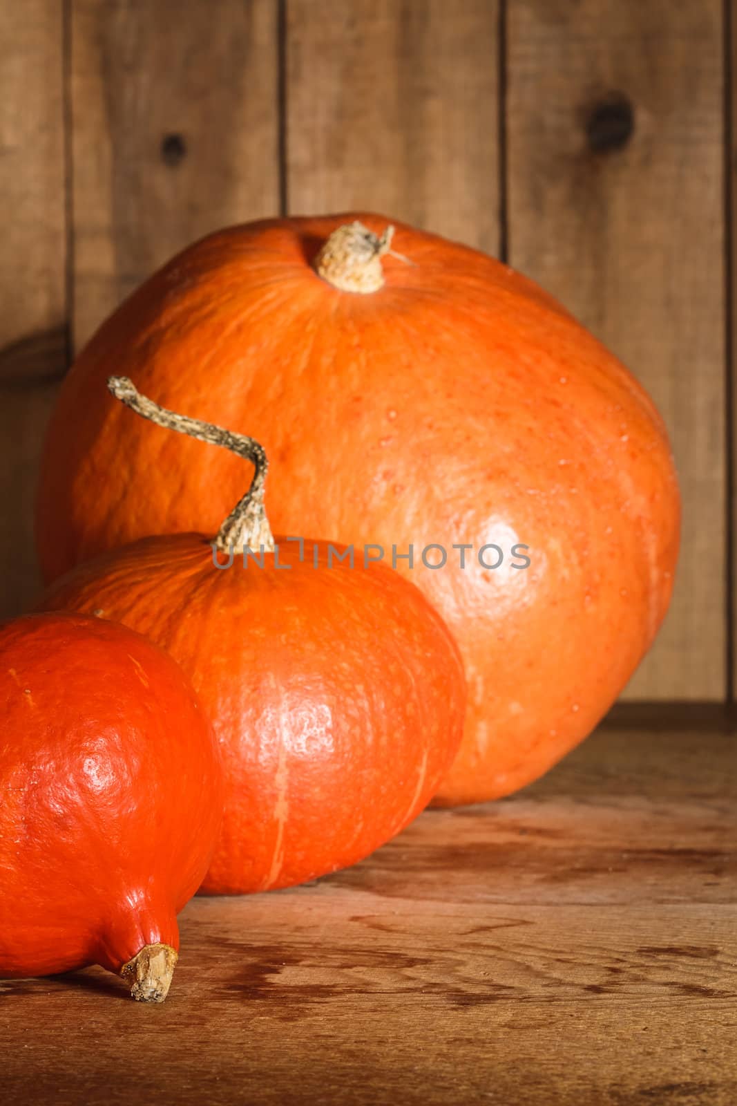 Pumpkins on grunge wooden backdrop, background table. Autumn, halloween, pumpkin