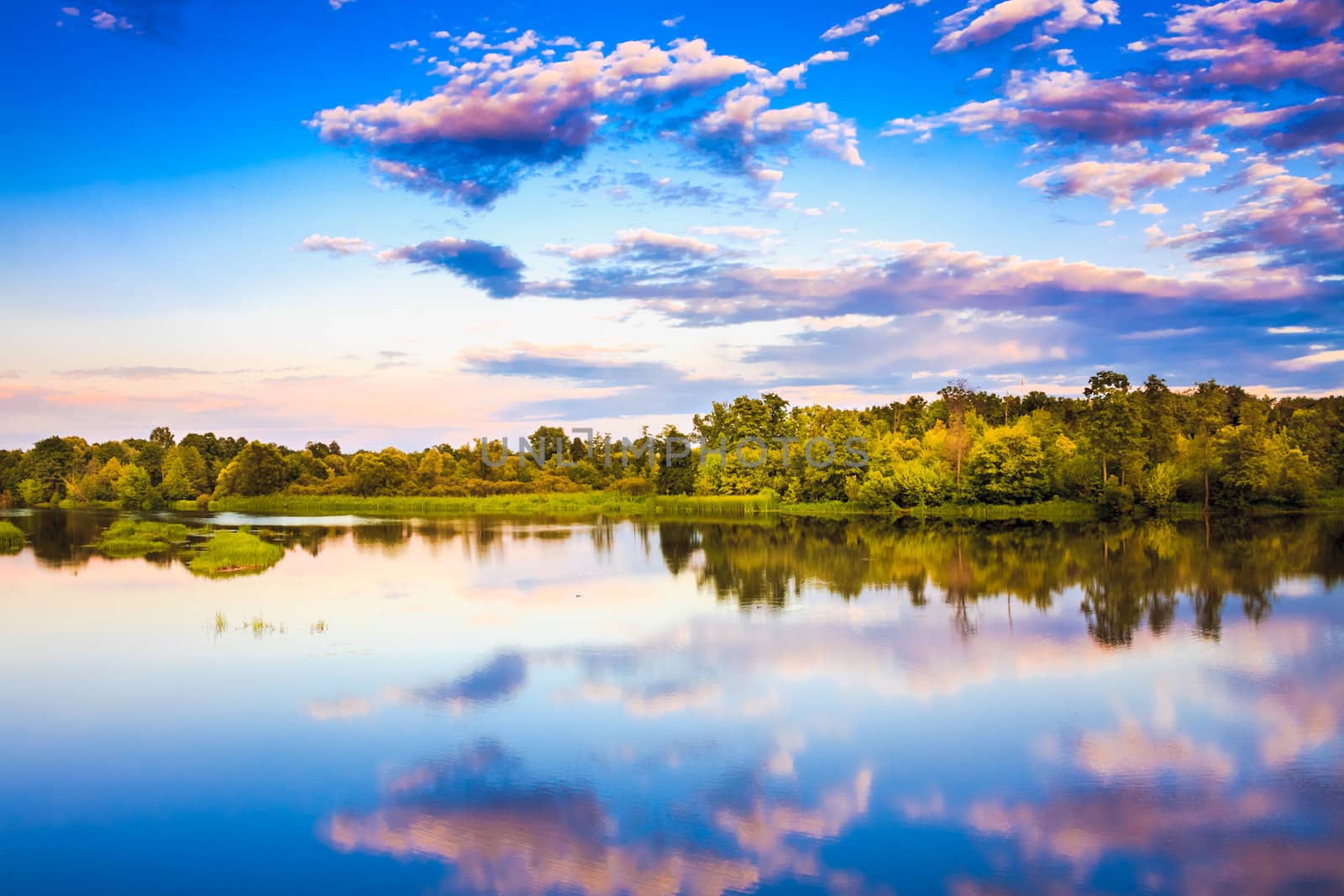 River Landscape In Summer by ryhor