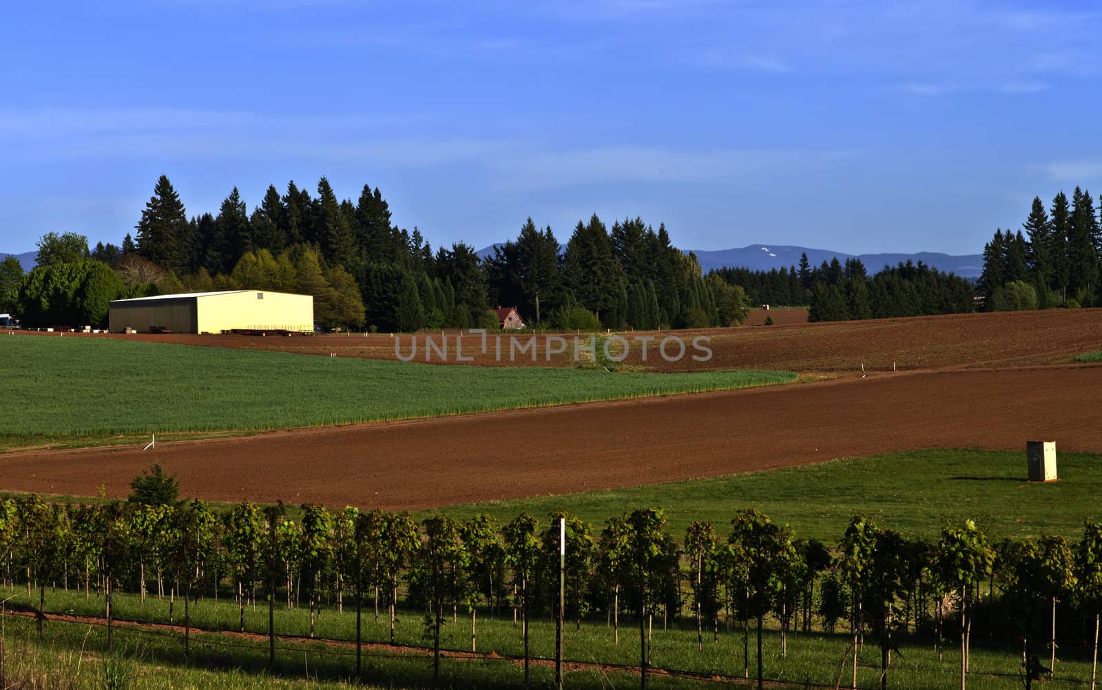 Farming and fields in rural Oregon.