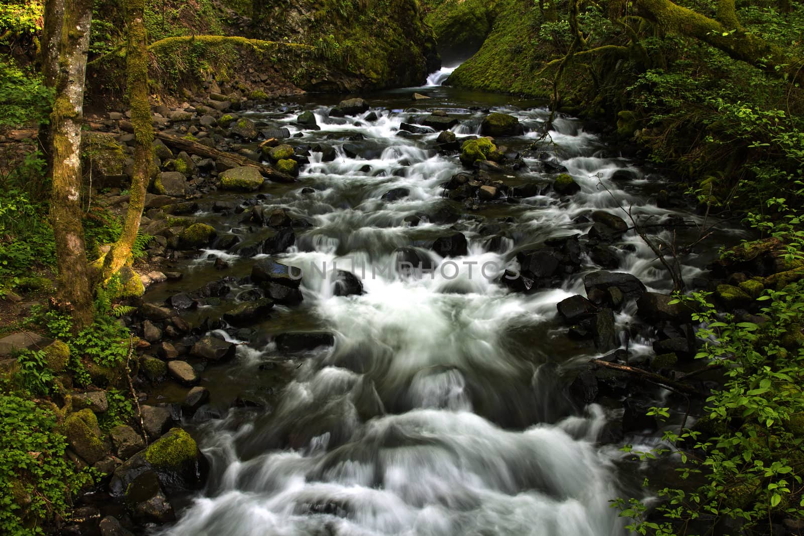Fresh water stream Columbia River Gorge Oregon.