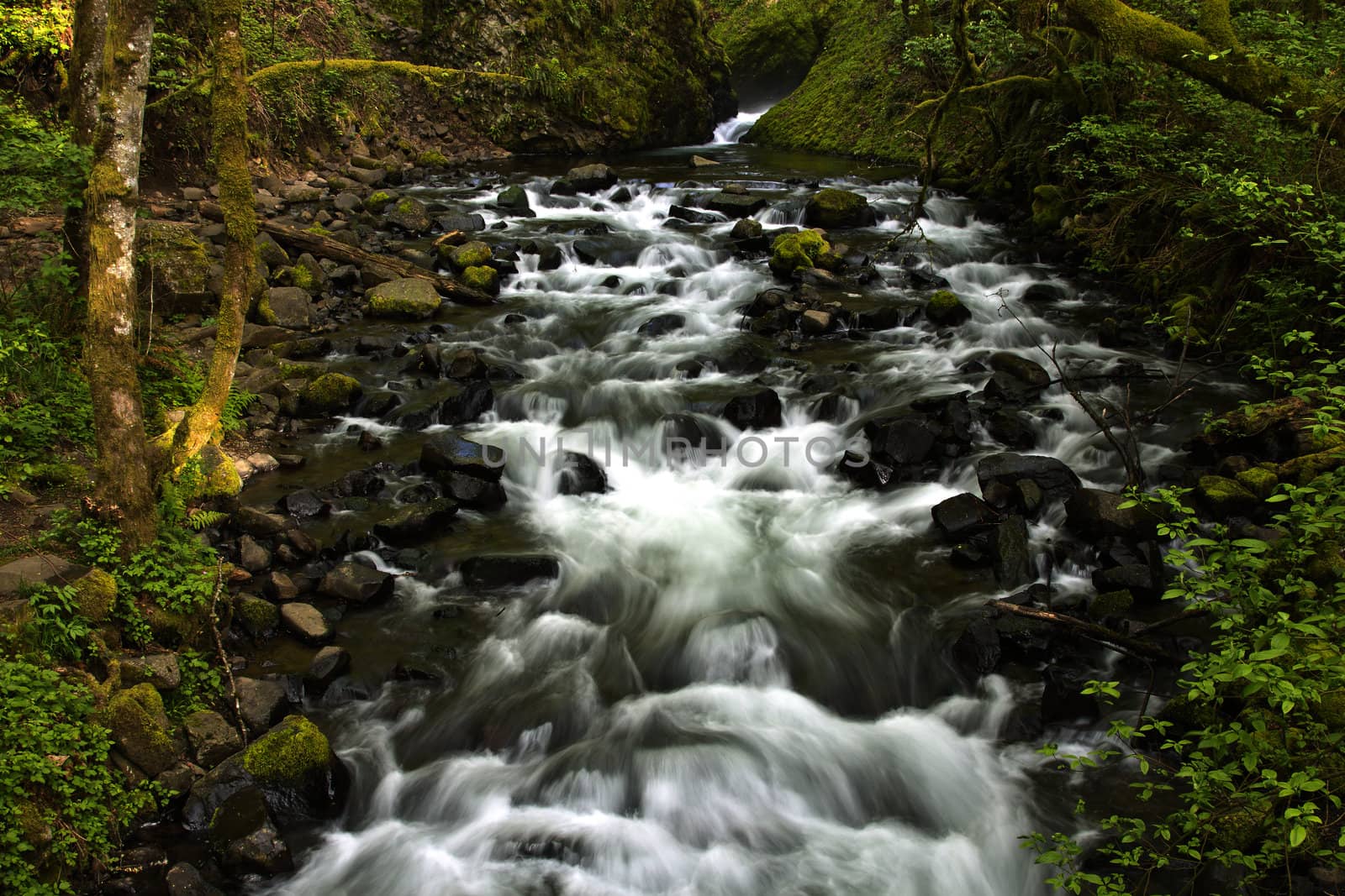 Fresh water stream. by Rigucci