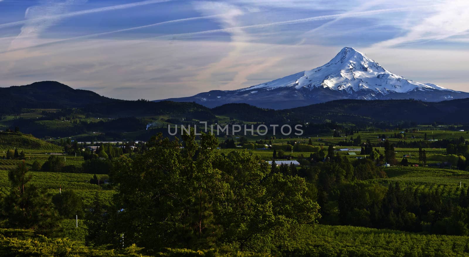 Mt. Hood and Hood River valley panorama. by Rigucci