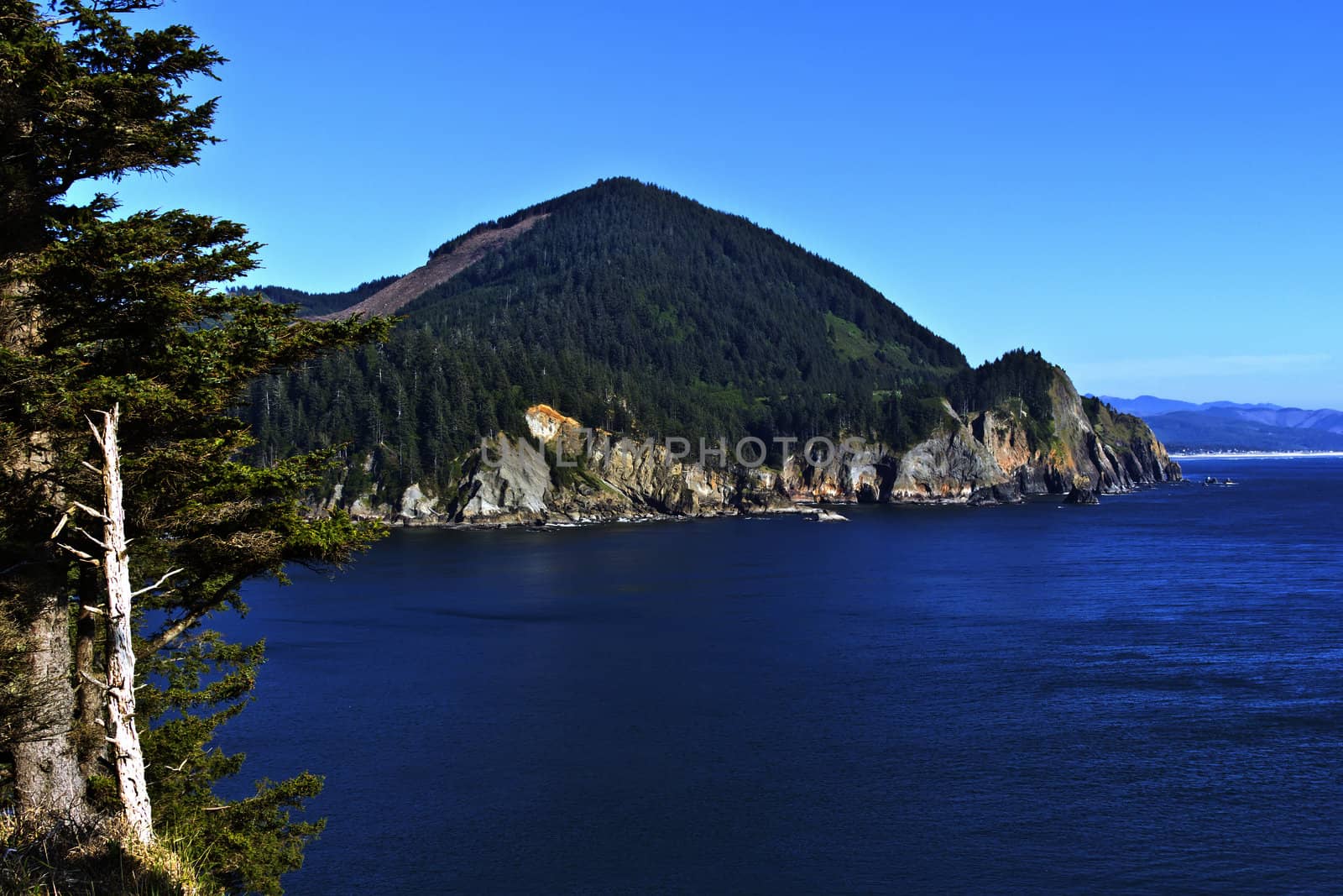 Cape Falcon viewpoint Oregon coast. by Rigucci