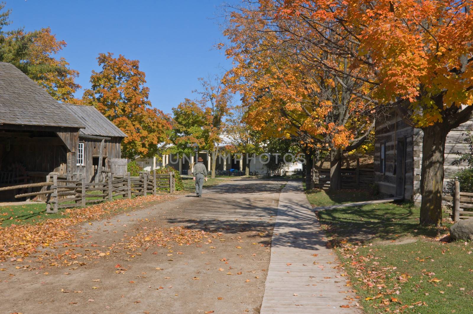 Fall's colors on a street of small village.